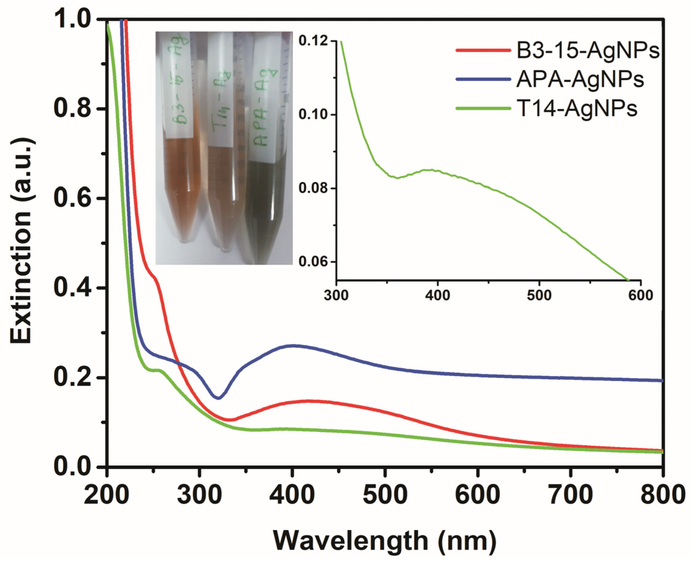 Polymers 11 01157 g002
