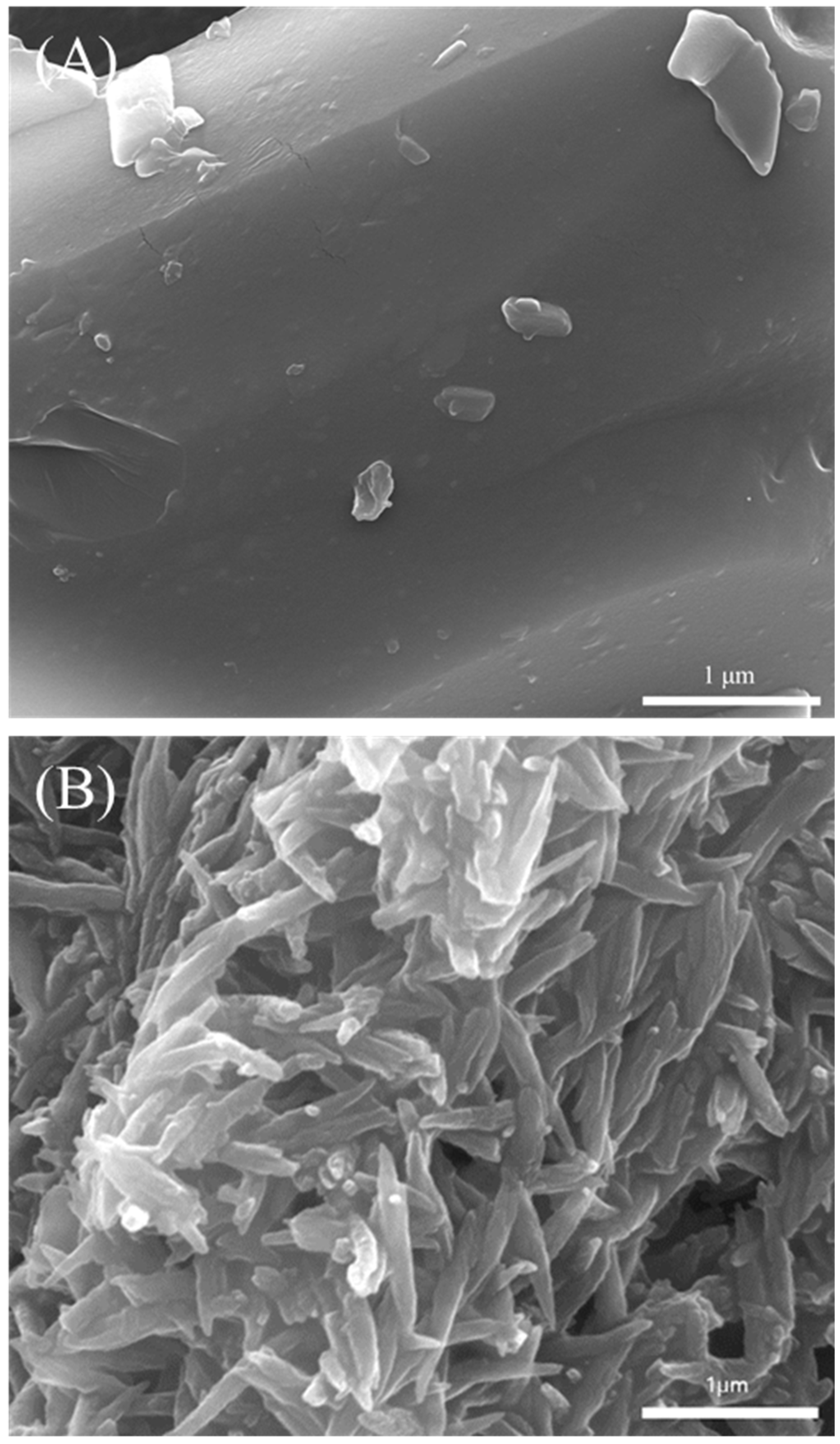 Polymers 11 01162 g003