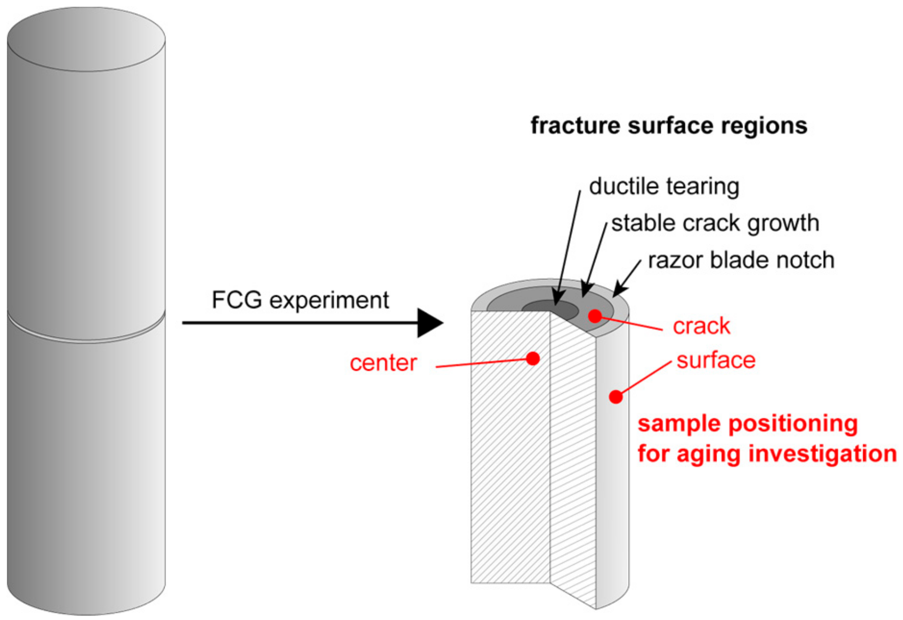 Polymers 11 01165 g002