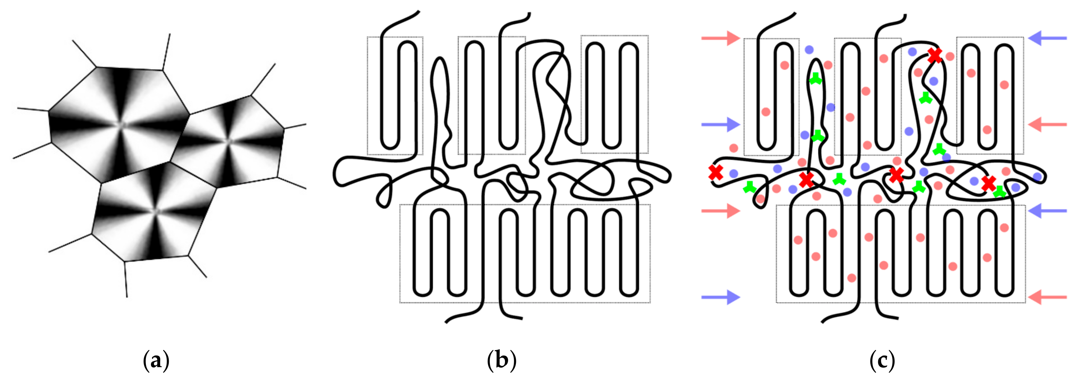 Polymers 11 01165 g008
