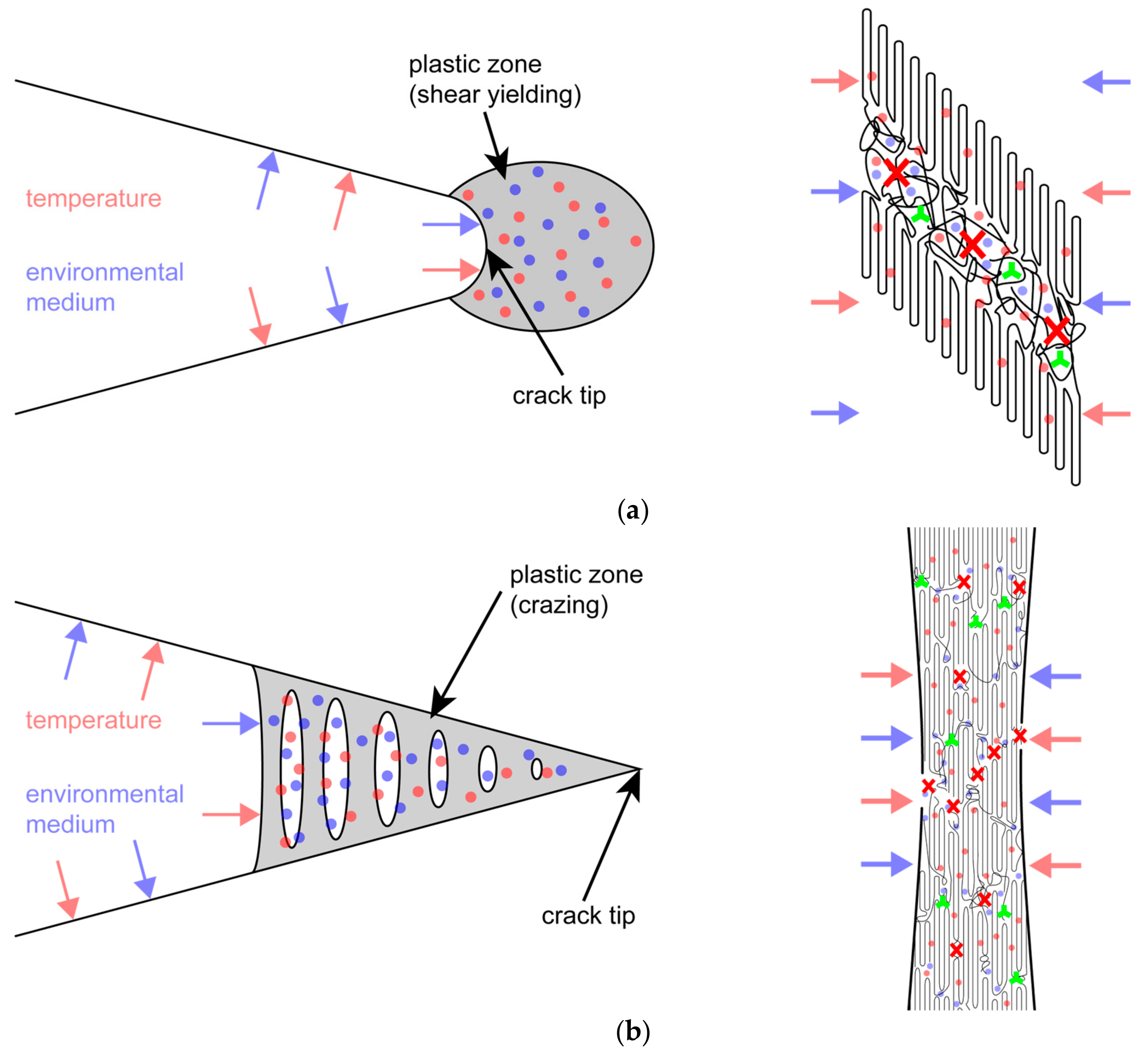 Polymers 11 01165 g009