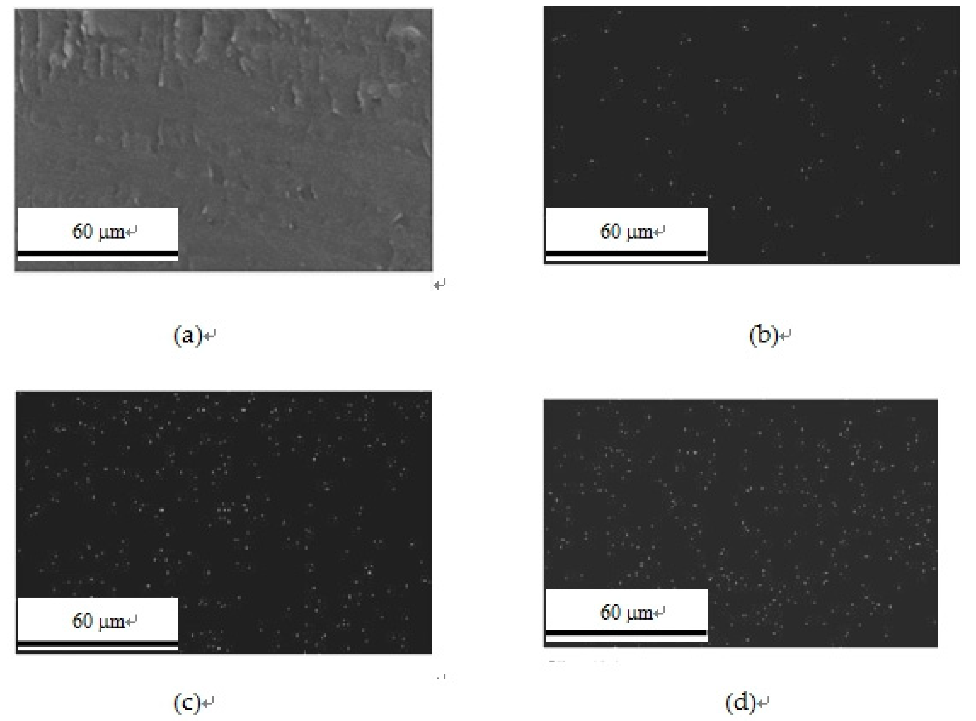 Polymers 11 01177 g013