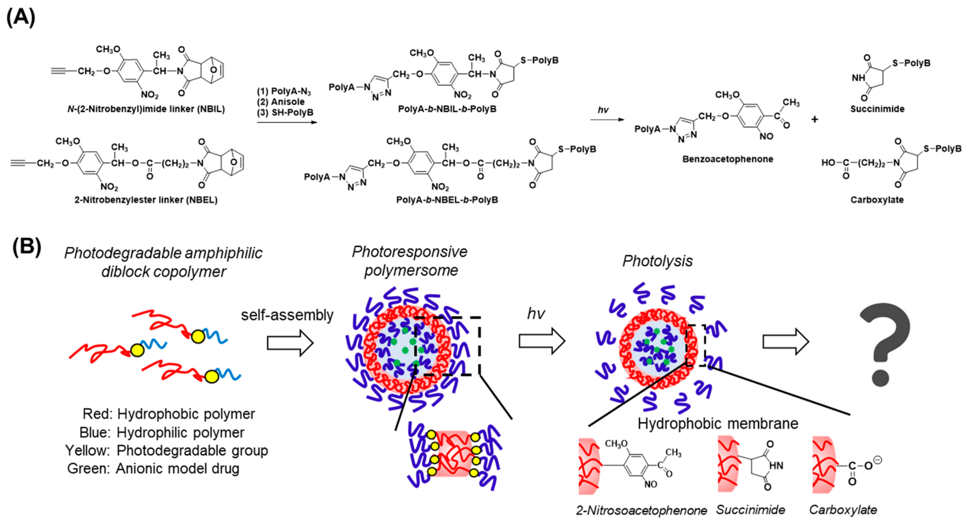 Polymers 11 01254 g001