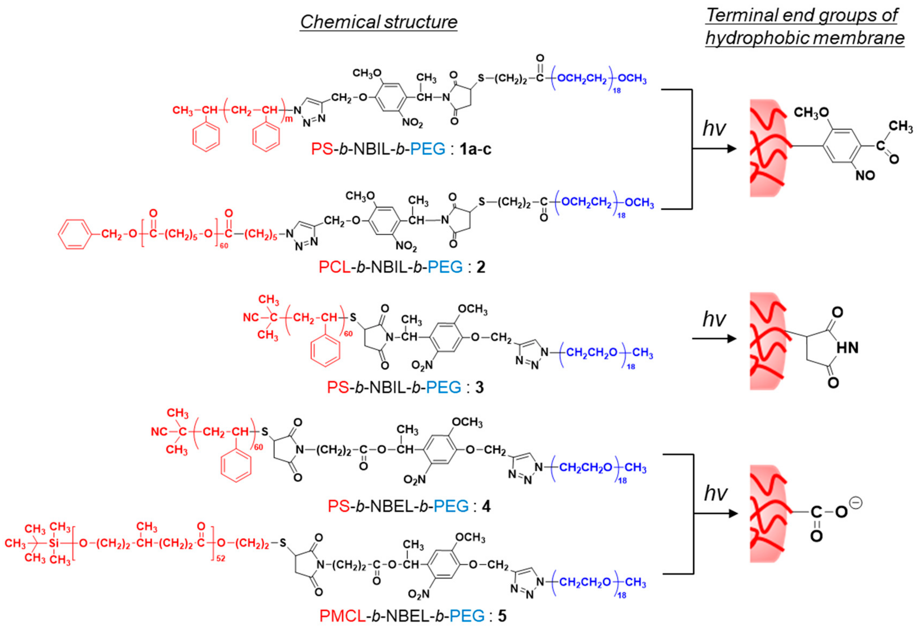 Polymers 11 01254 g002