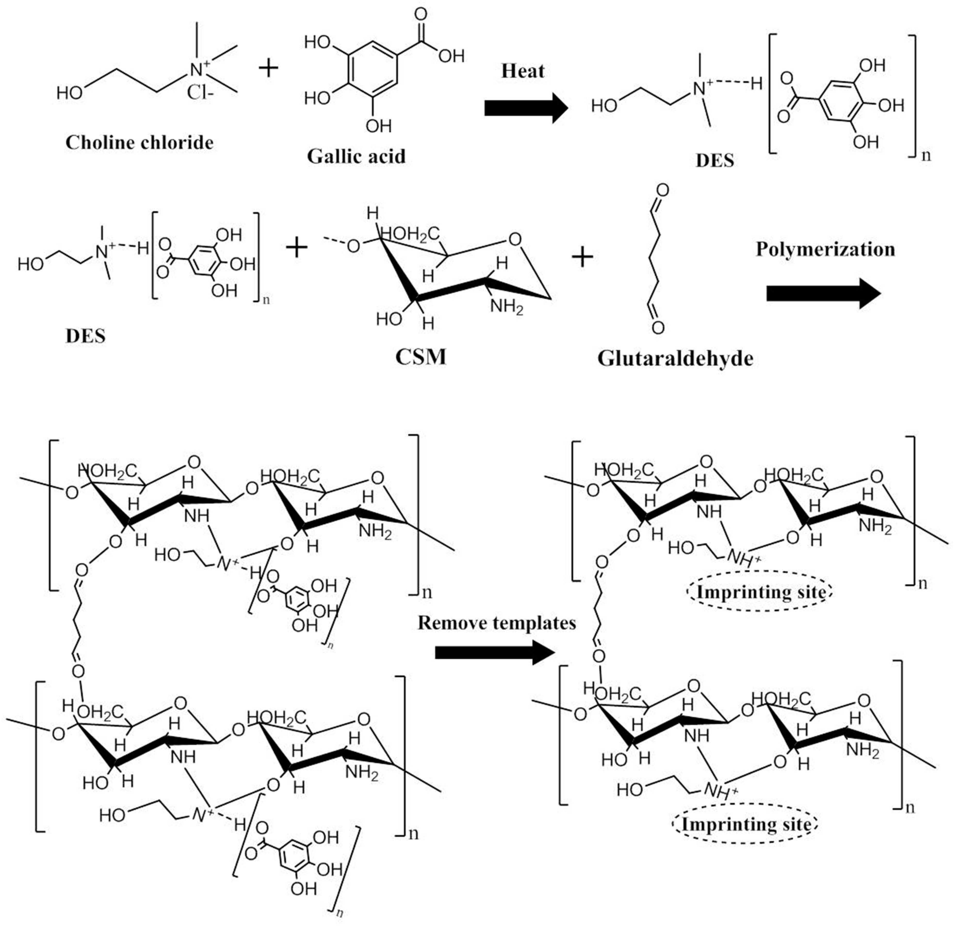 Polymers 11 01434 g001