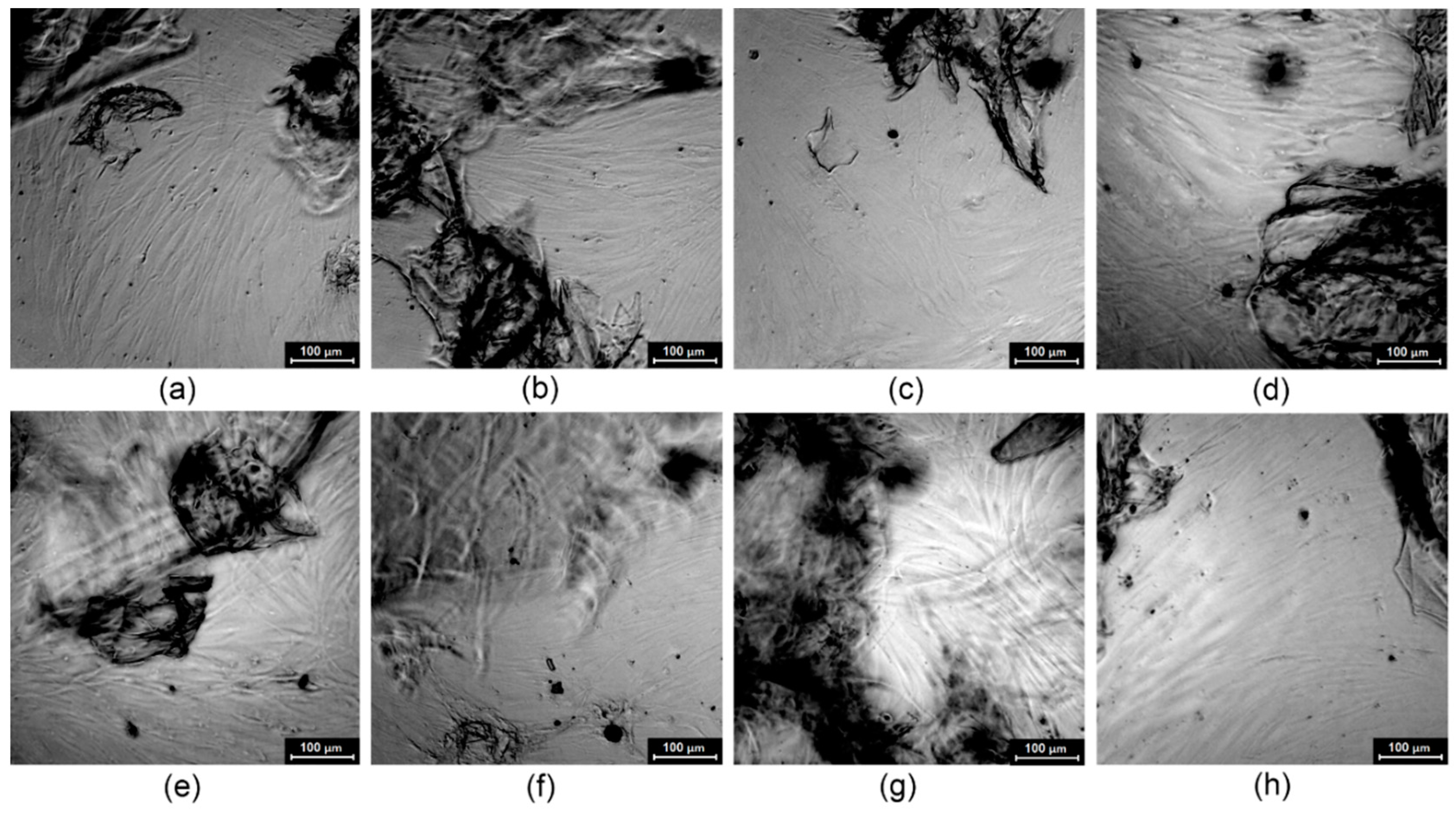 Polymers 12 00159 g012