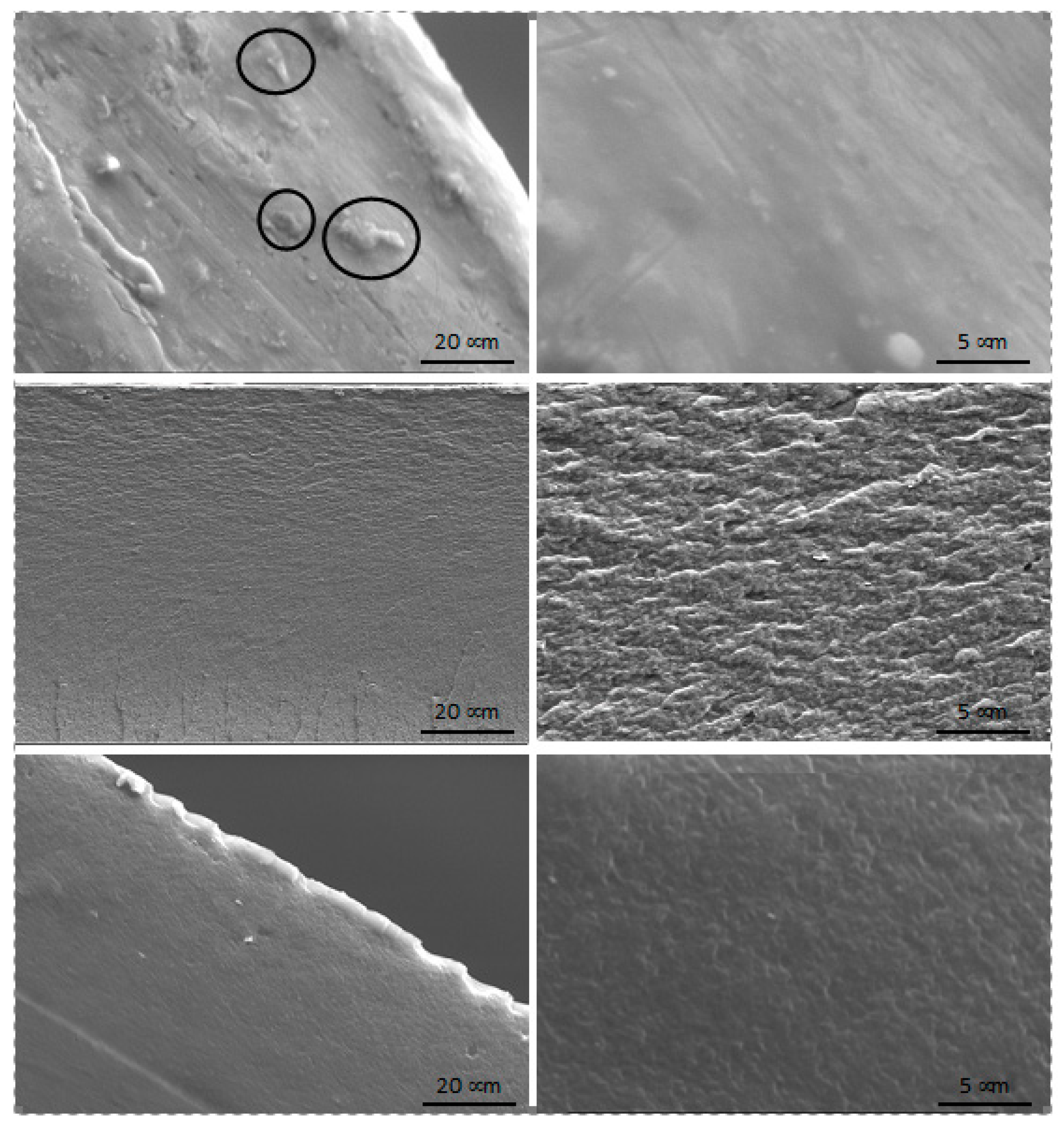 Polymers 12 00207 g008