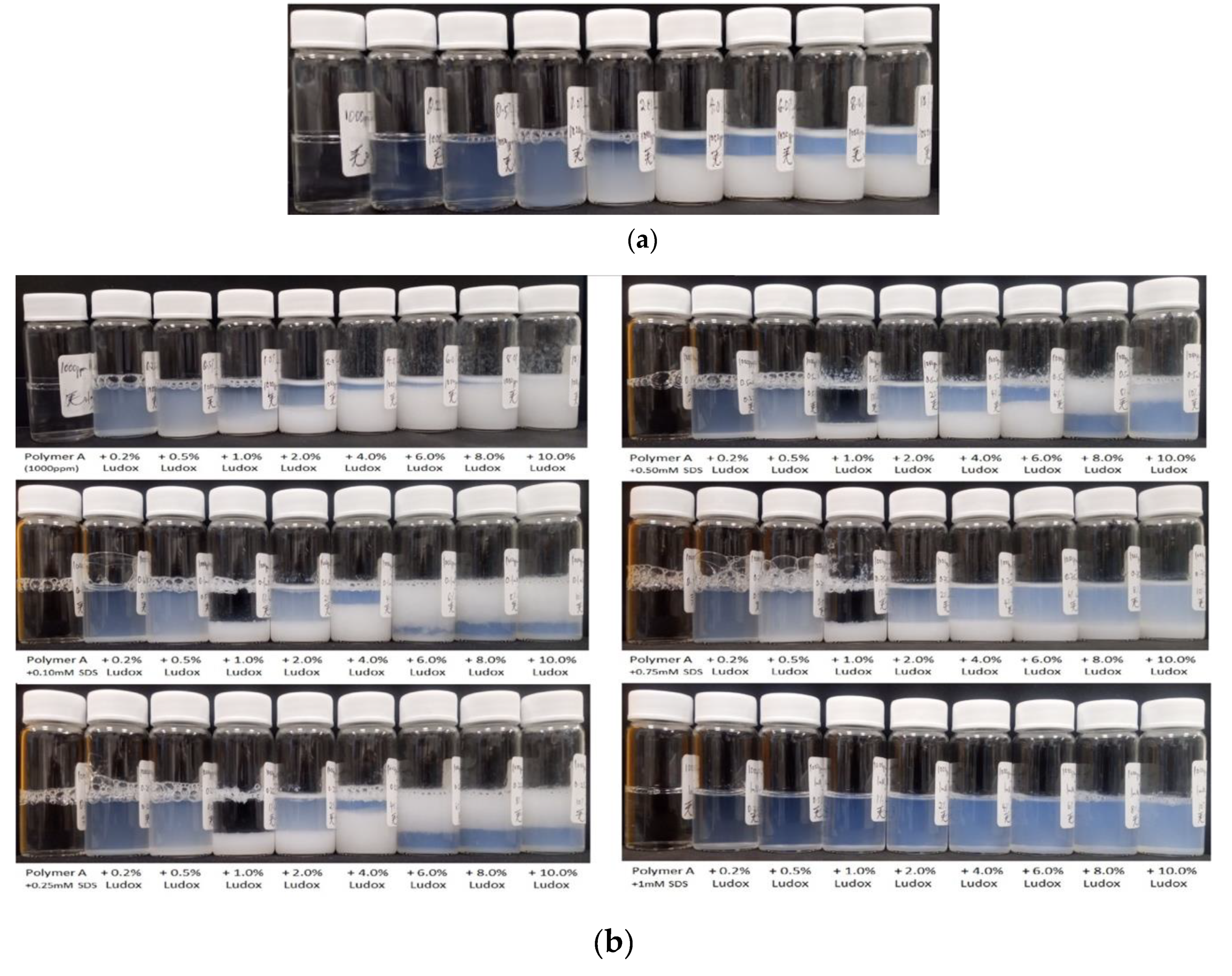 Polymers 12 00287 g001a