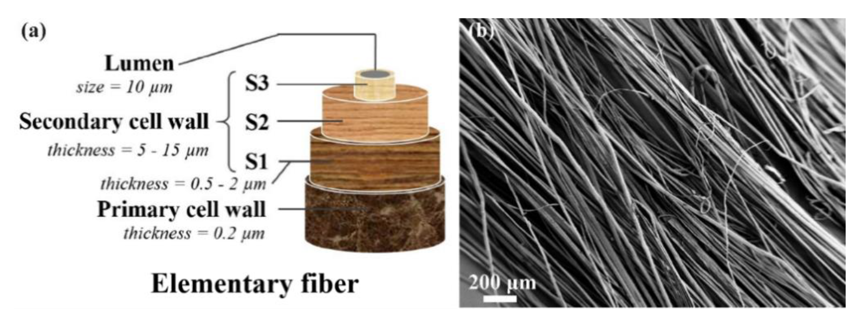 Polymers 12 01010 g002