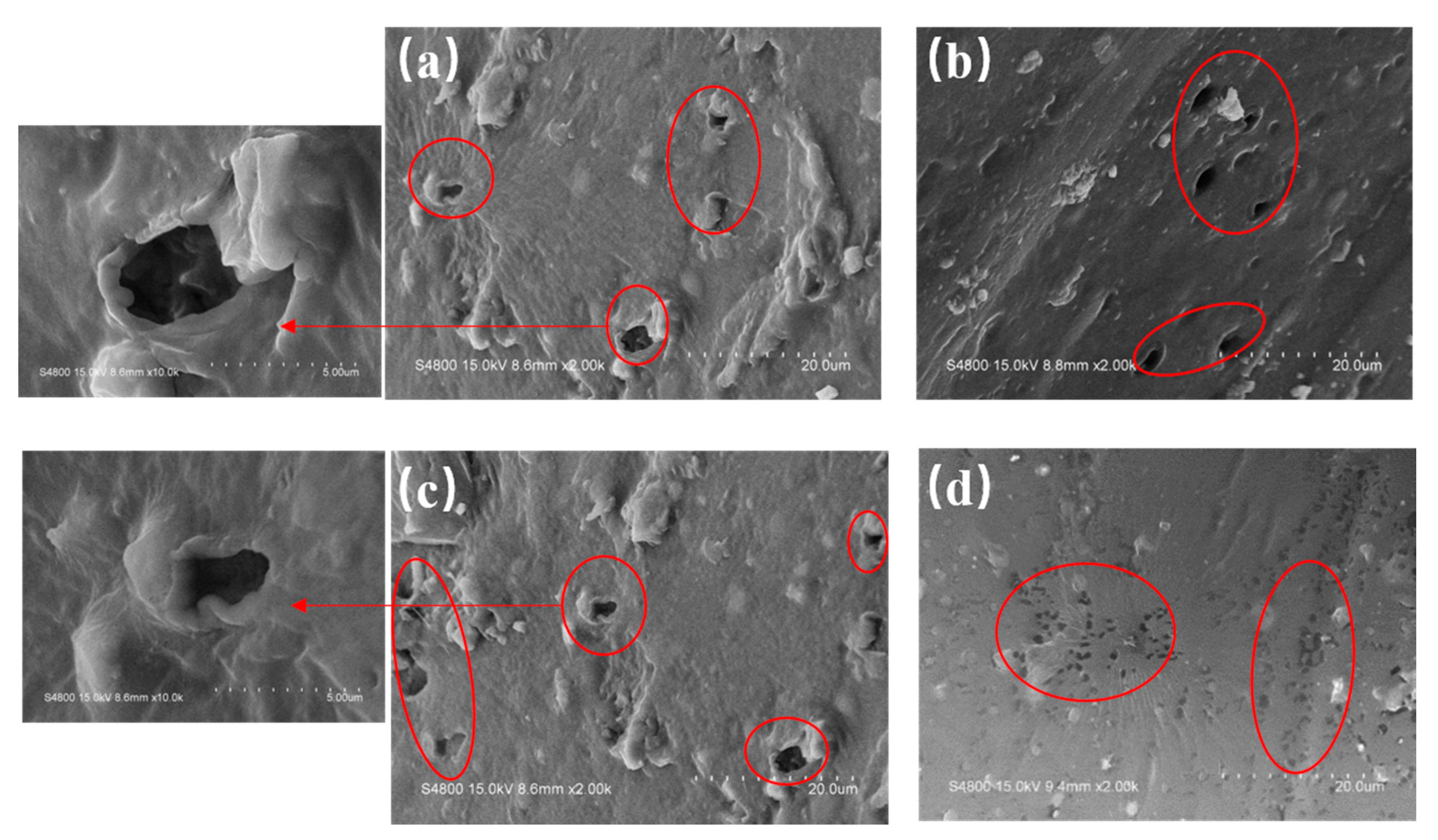 Polymers 12 01240 g014