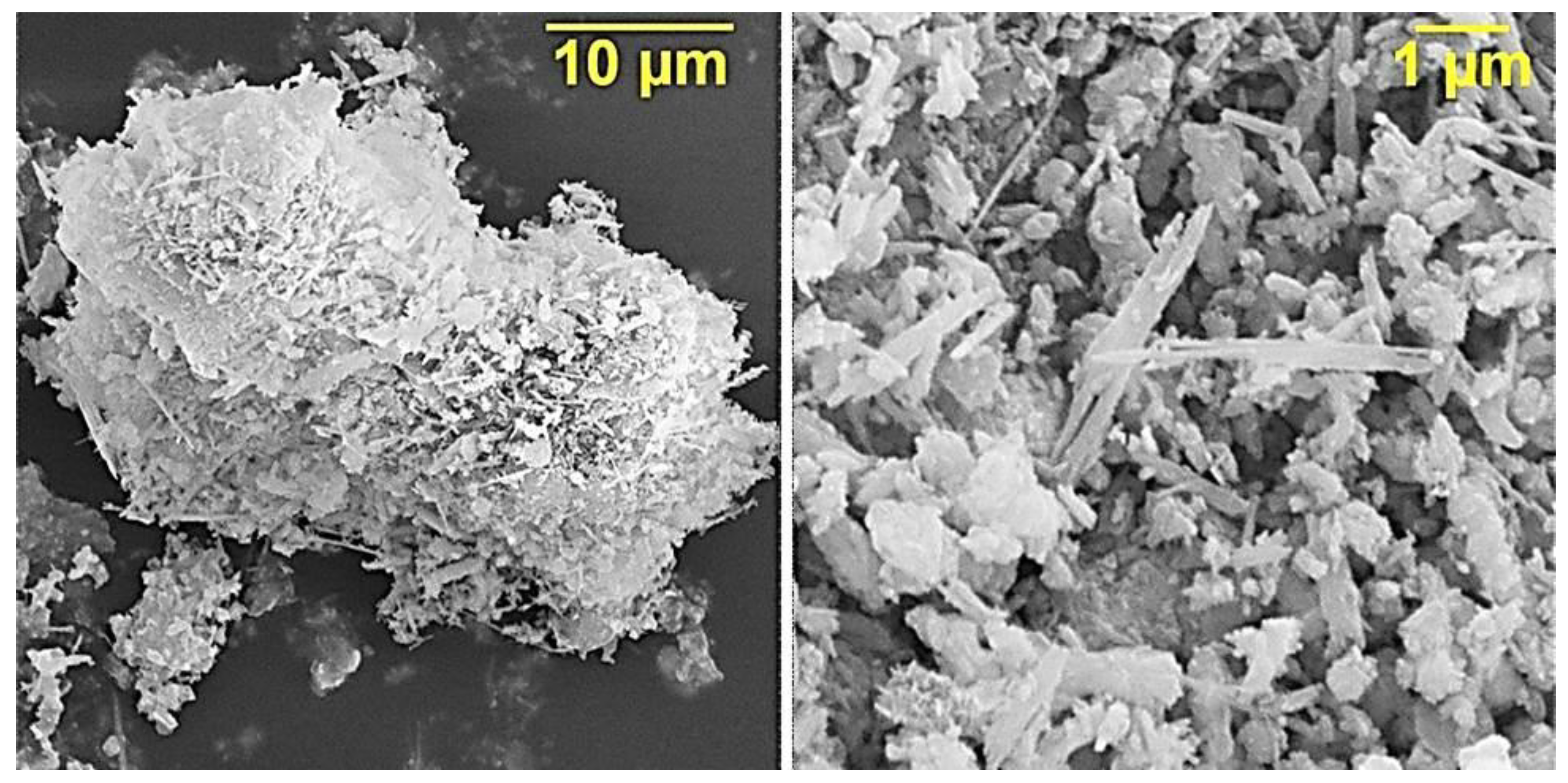 Polymers 12 01437 g004