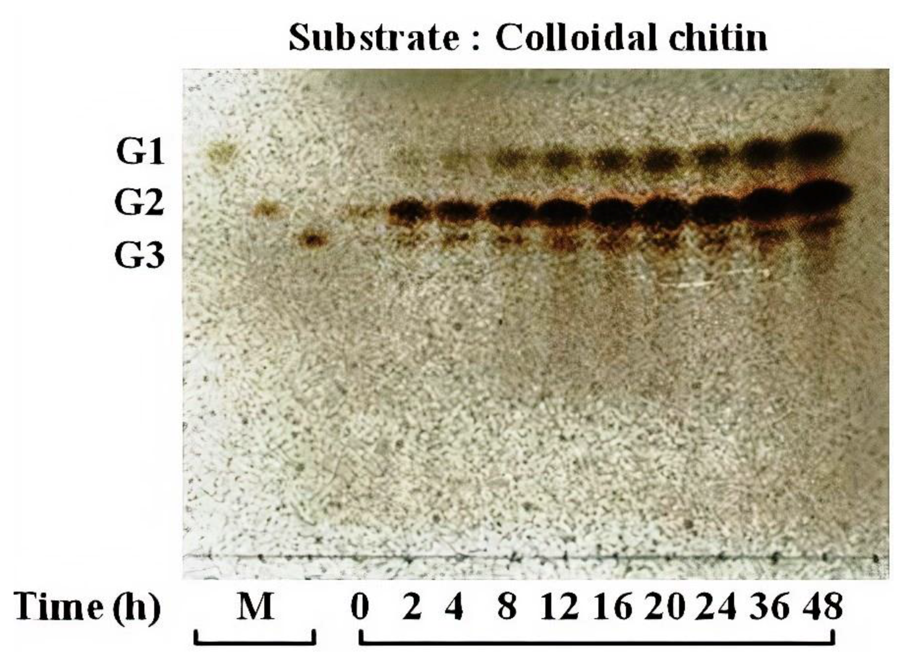 Polymers 12 01648 g004