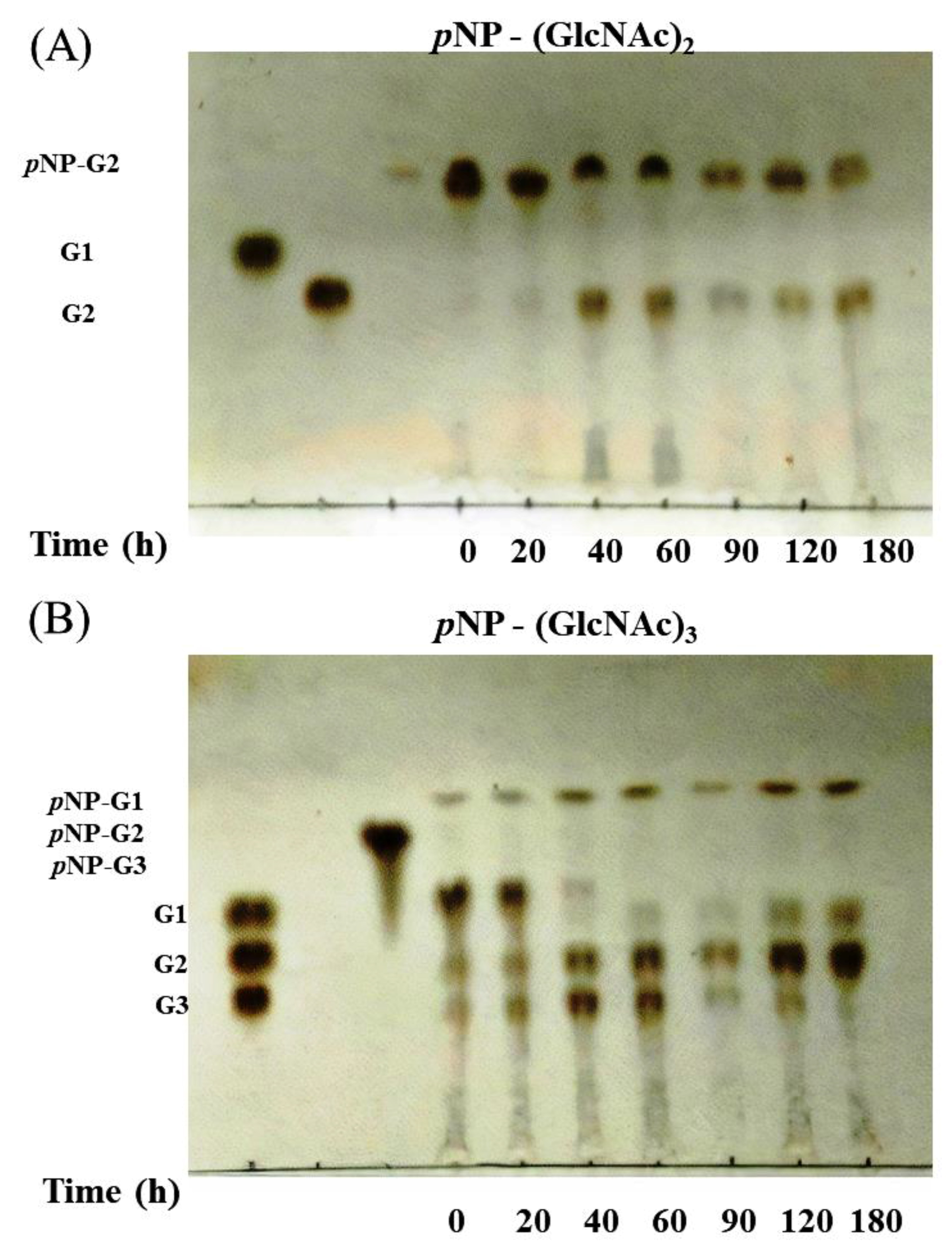 Polymers 12 01648 g005