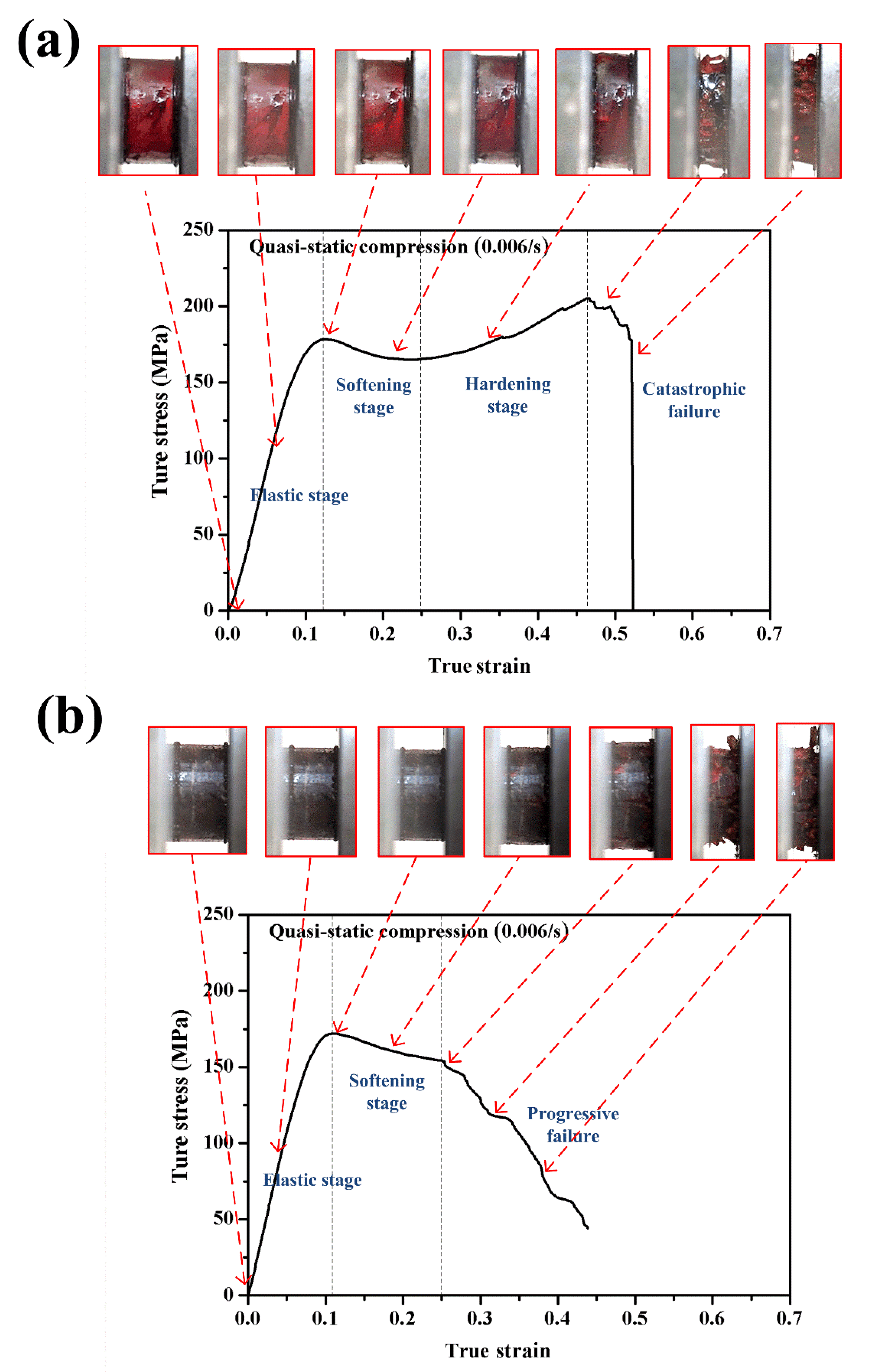 Polymers 12 01809 g004