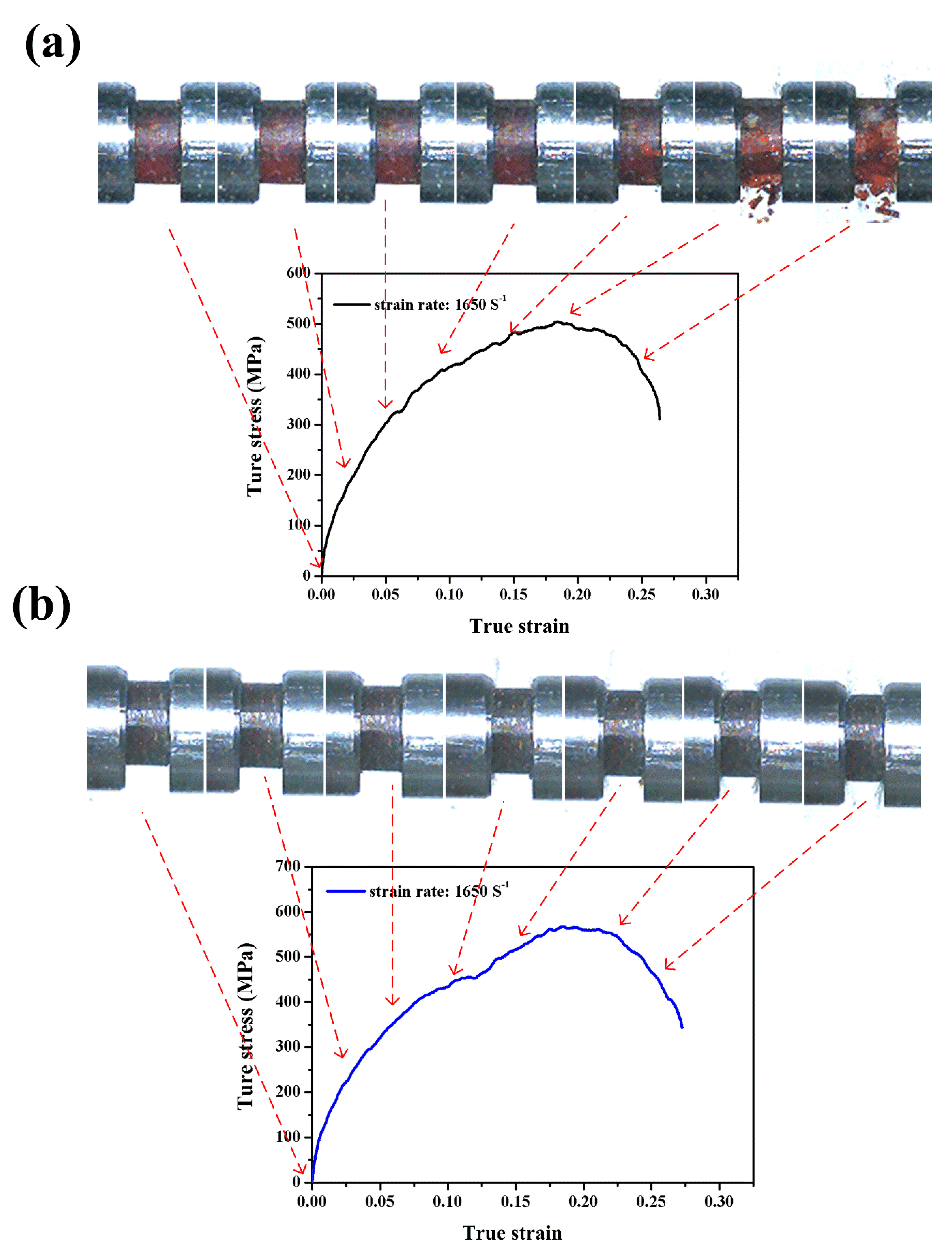 Polymers 12 01809 g008