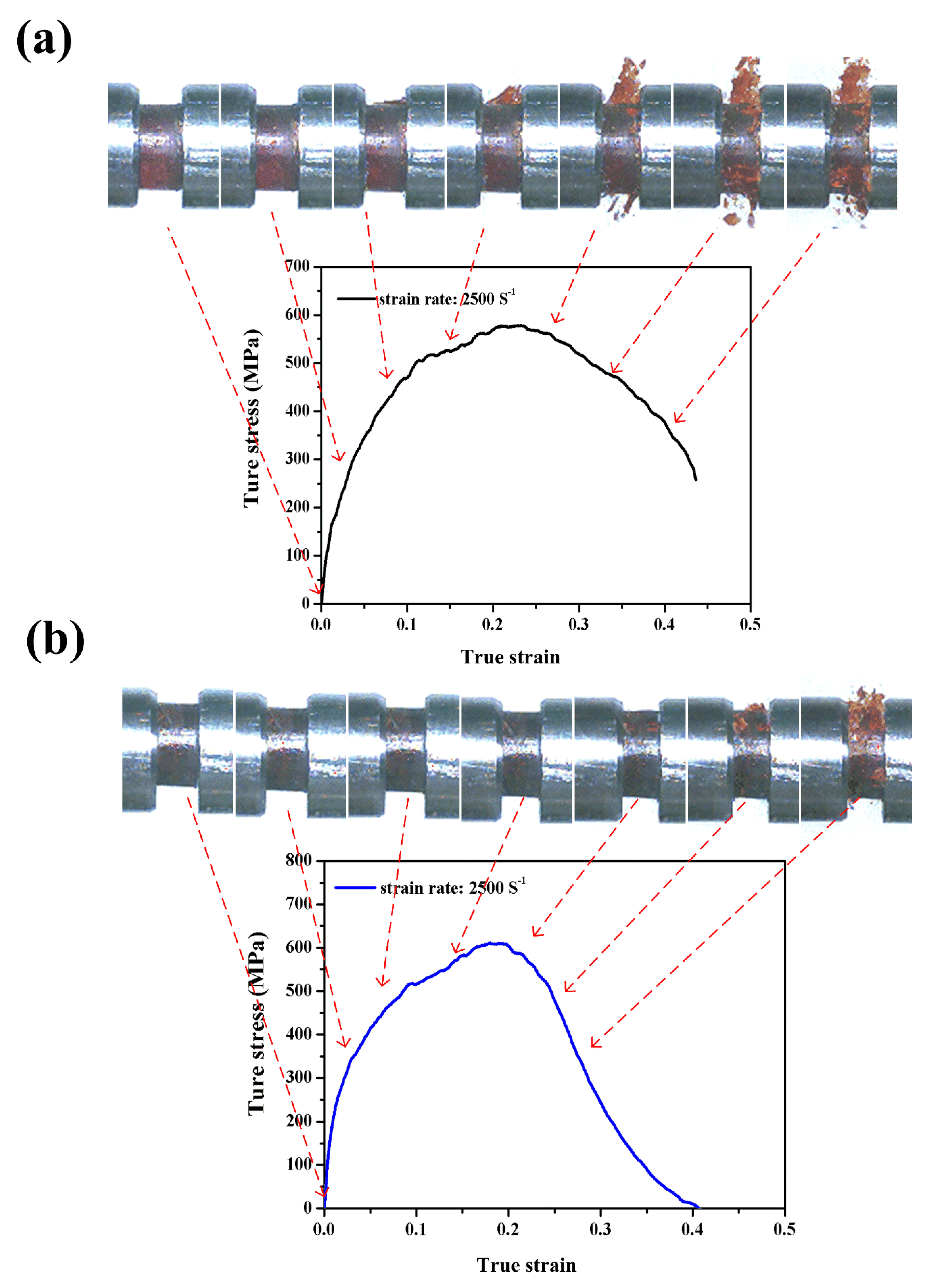 Polymers 12 01809 g009