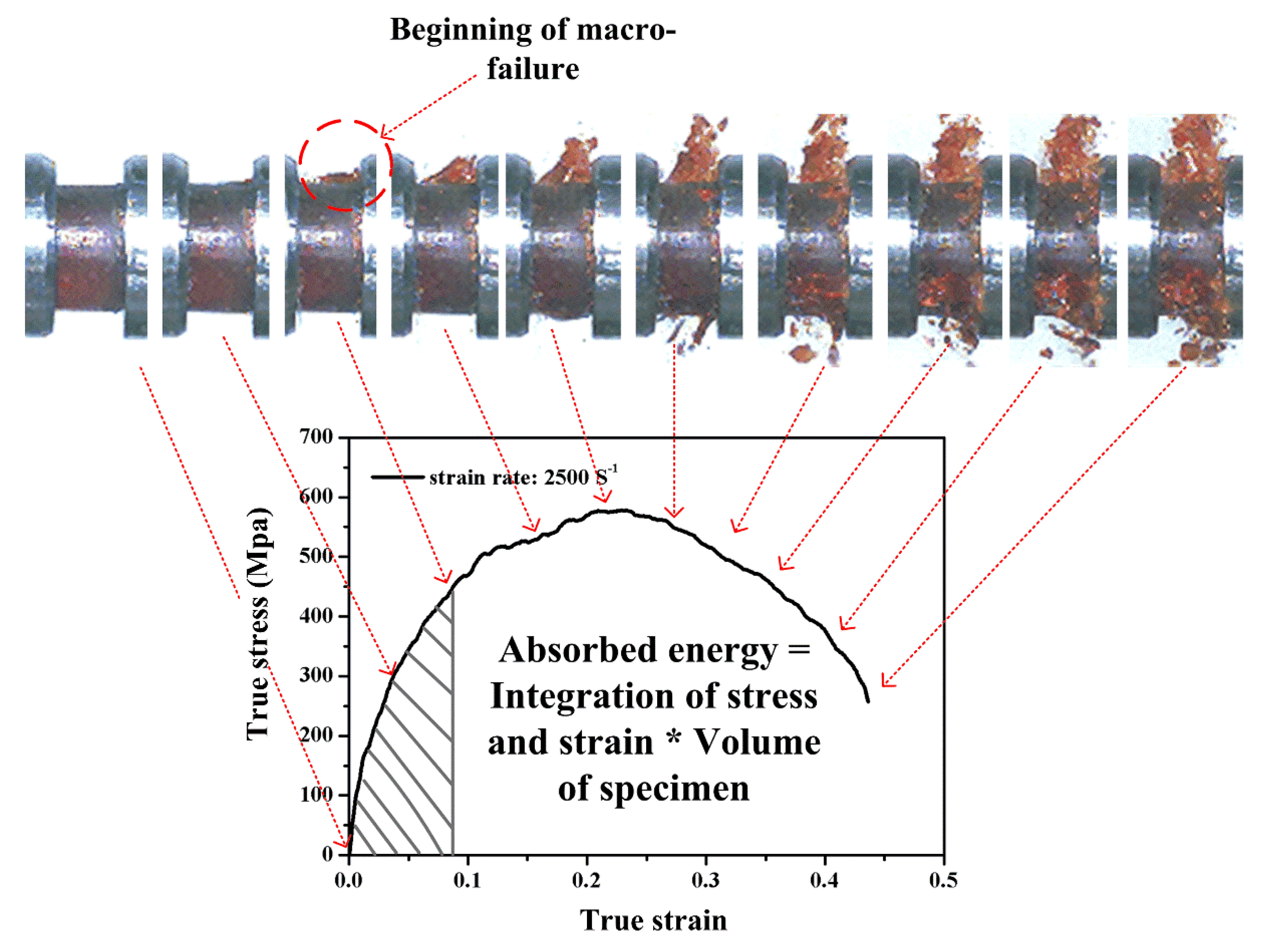 Polymers 12 01809 g012