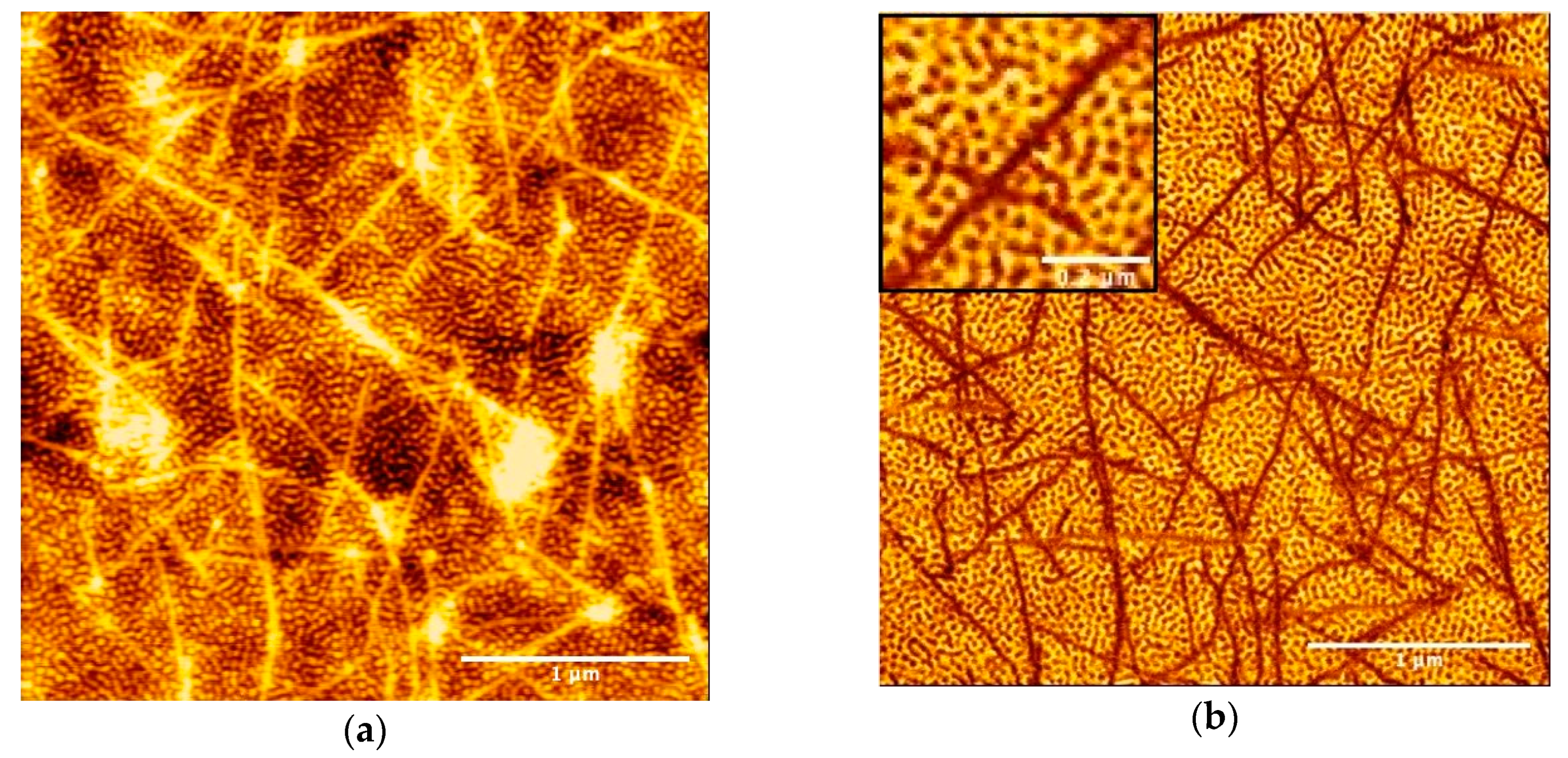 Polymers 12 02118 g002
