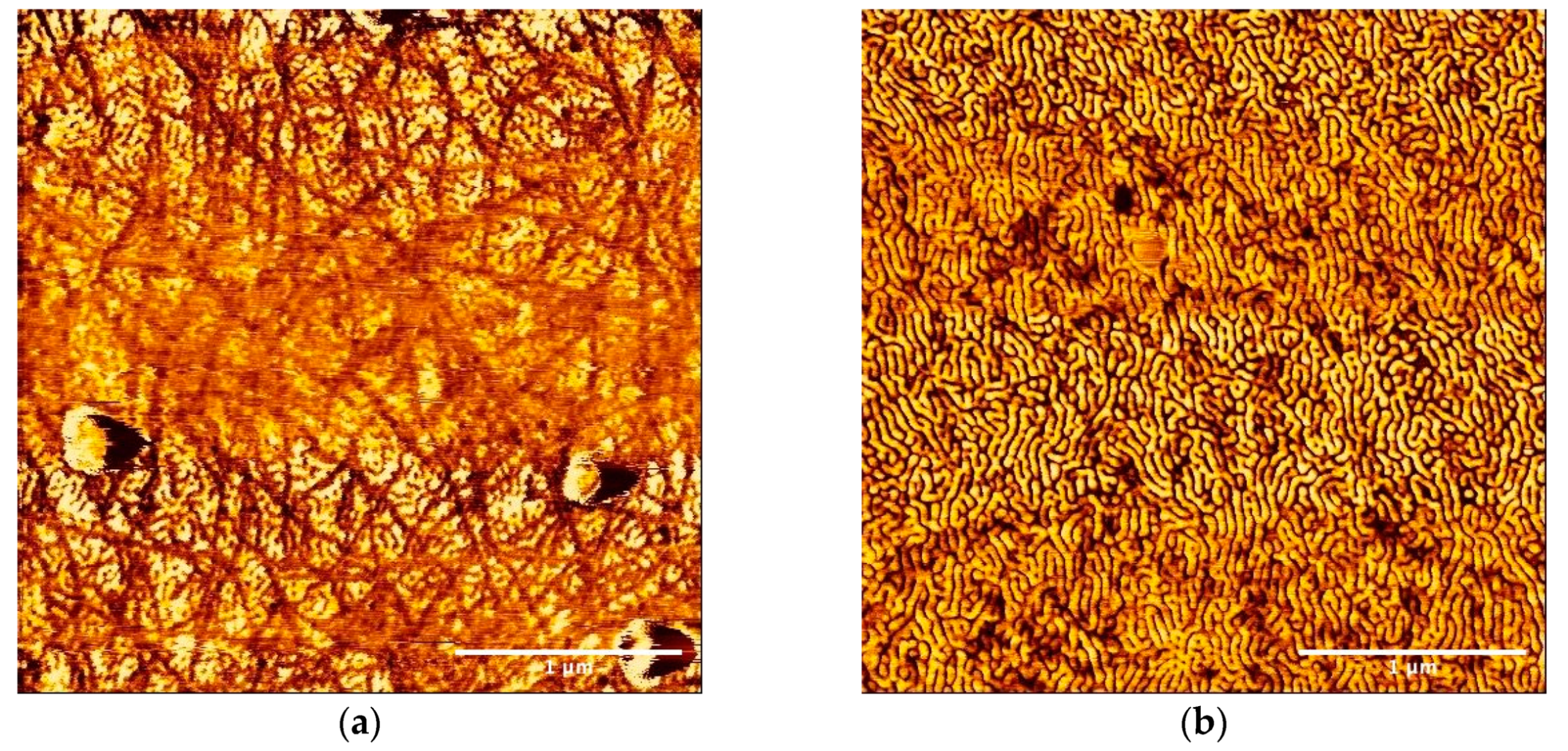 Polymers 12 02118 g005