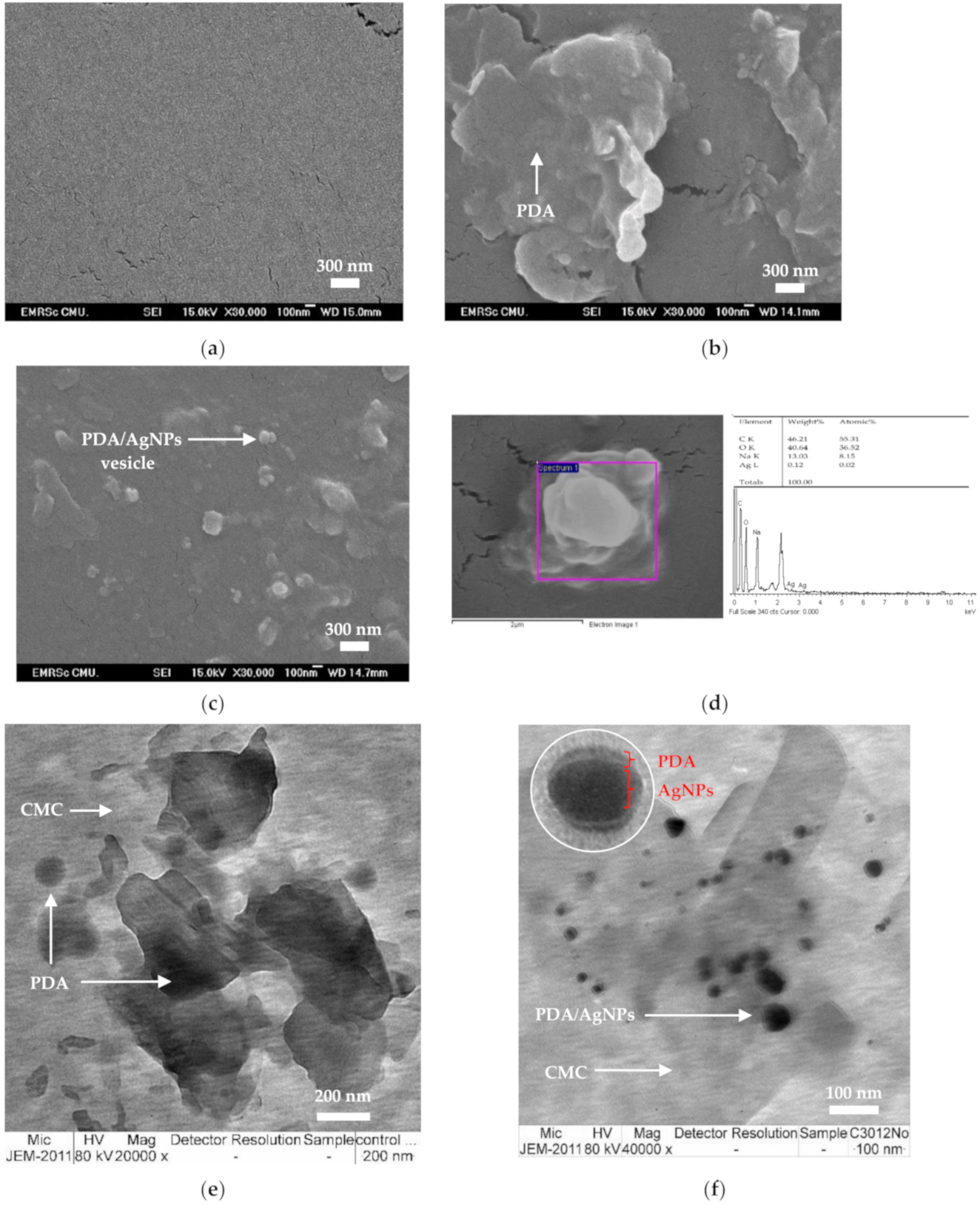 Polymers 12 02306 g006