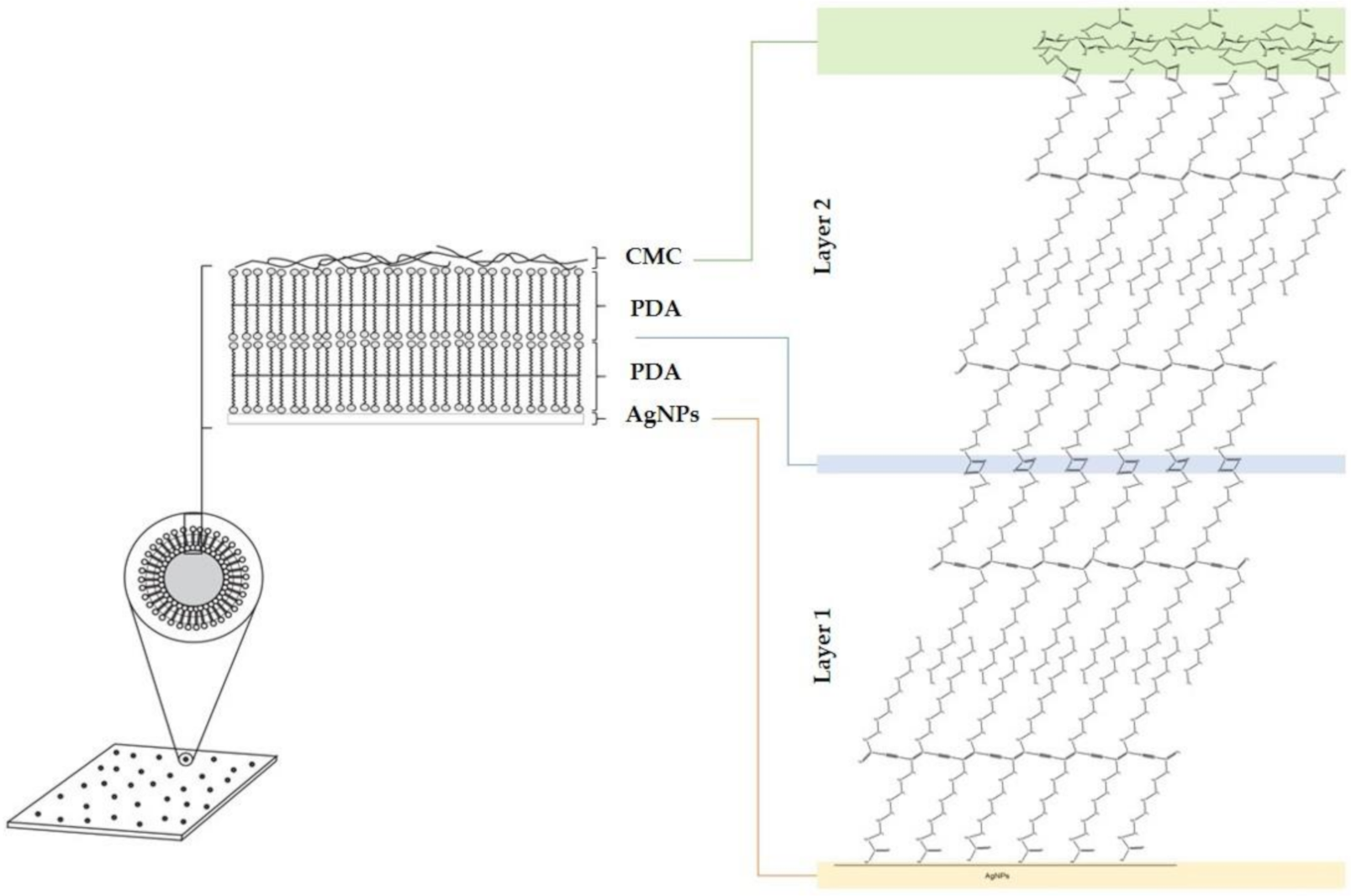 Polymers 12 02306 g007
