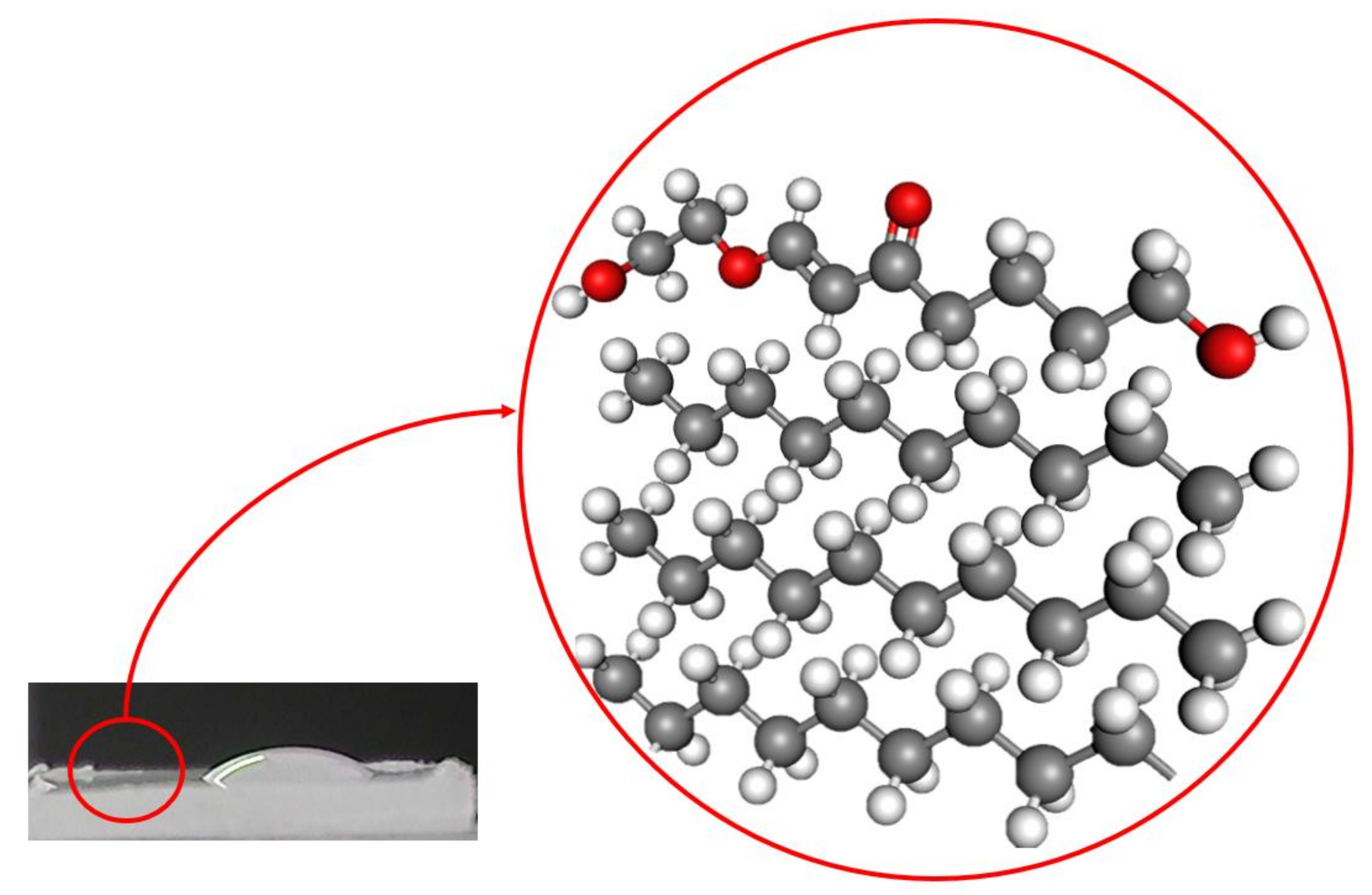 Polymers 12 02422 g012