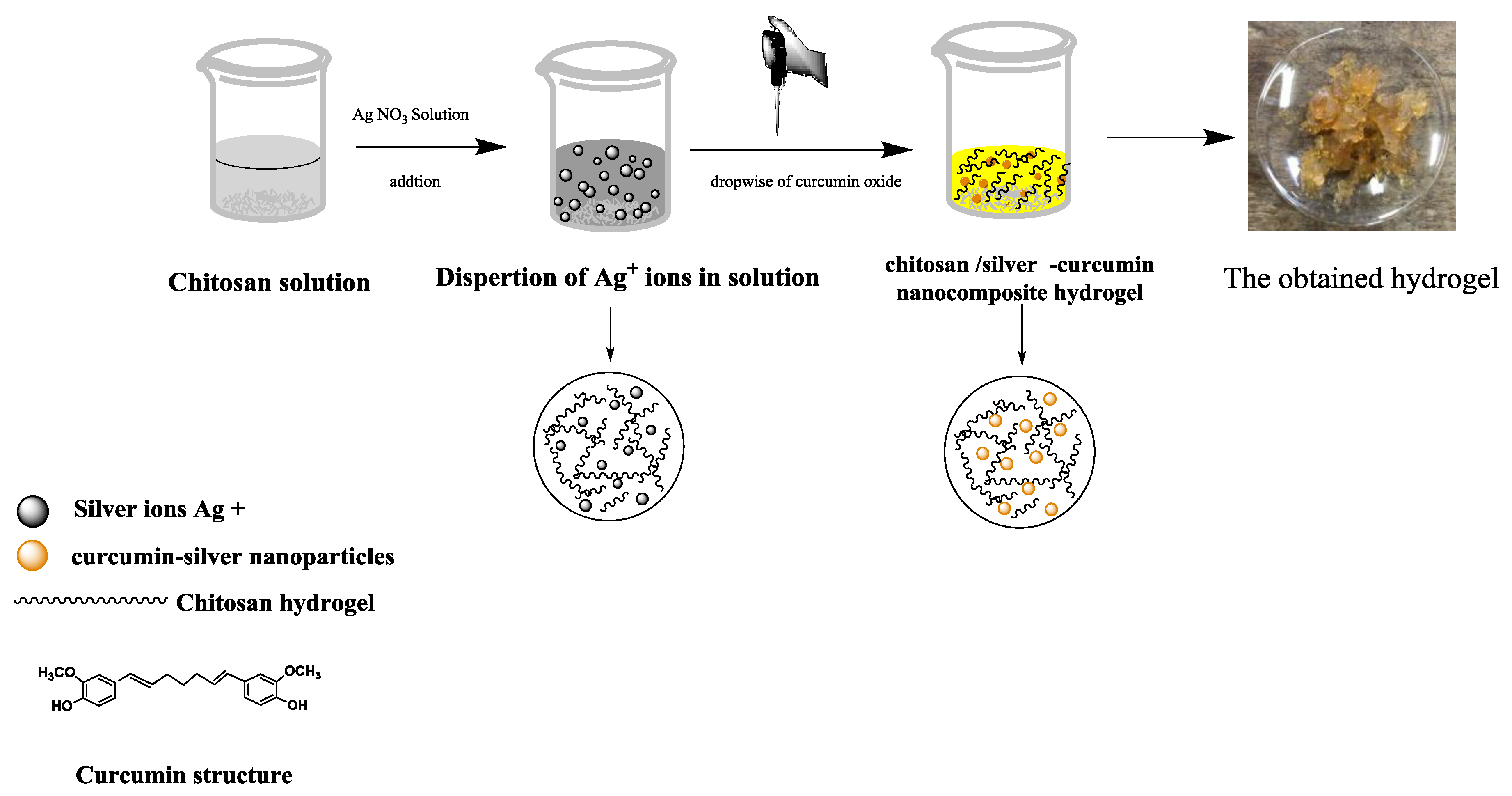 Polymers 12 02451 g001