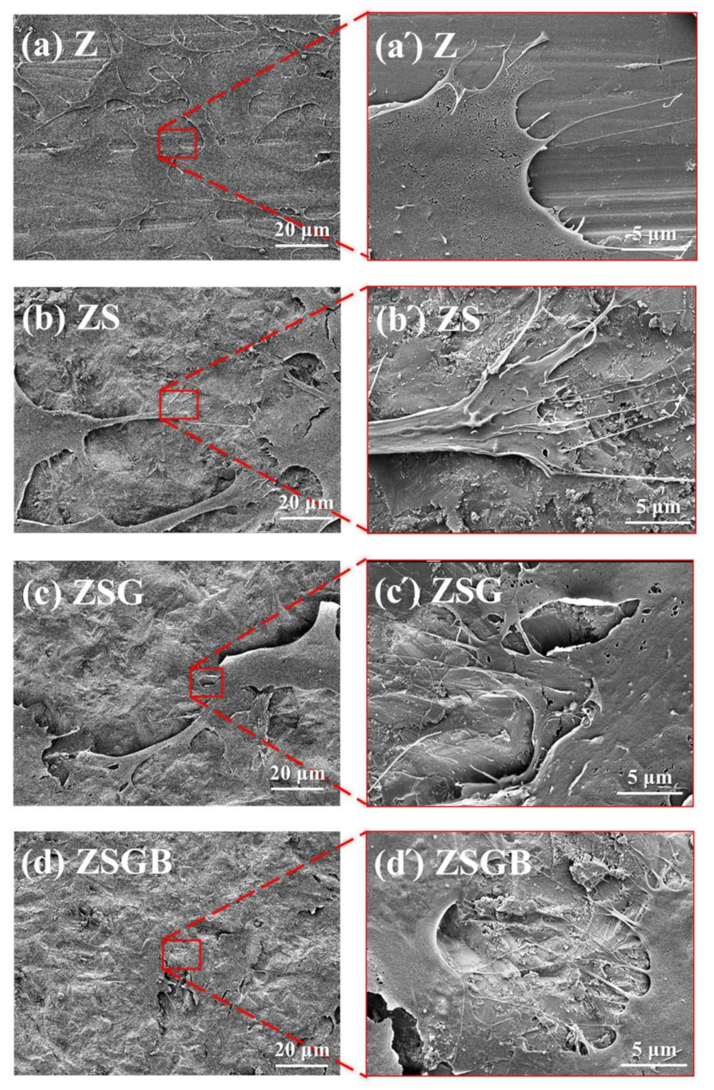 Polymers 12 02639 g004