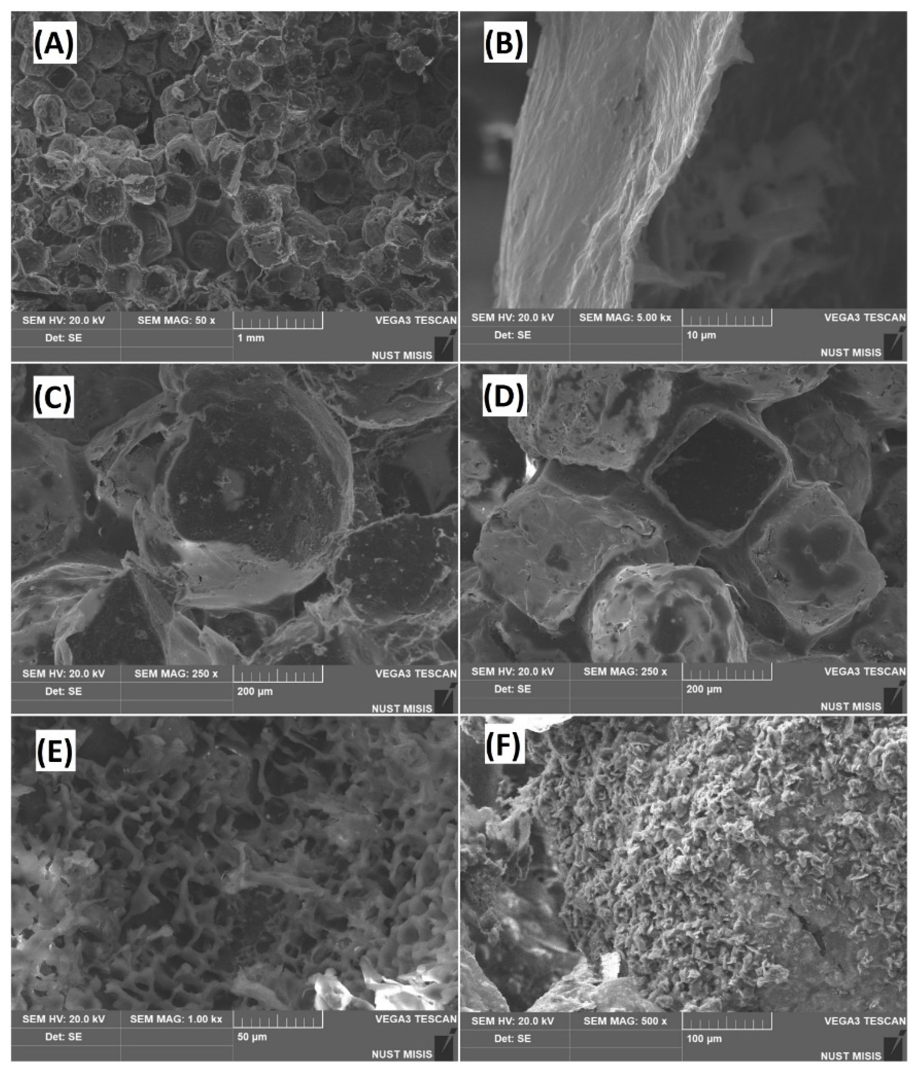 Polymers 12 02938 g001