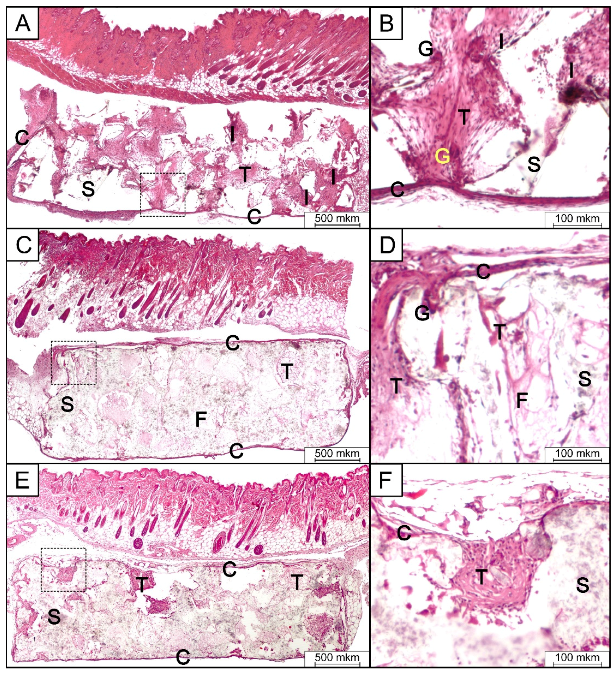 Polymers 12 02938 g009