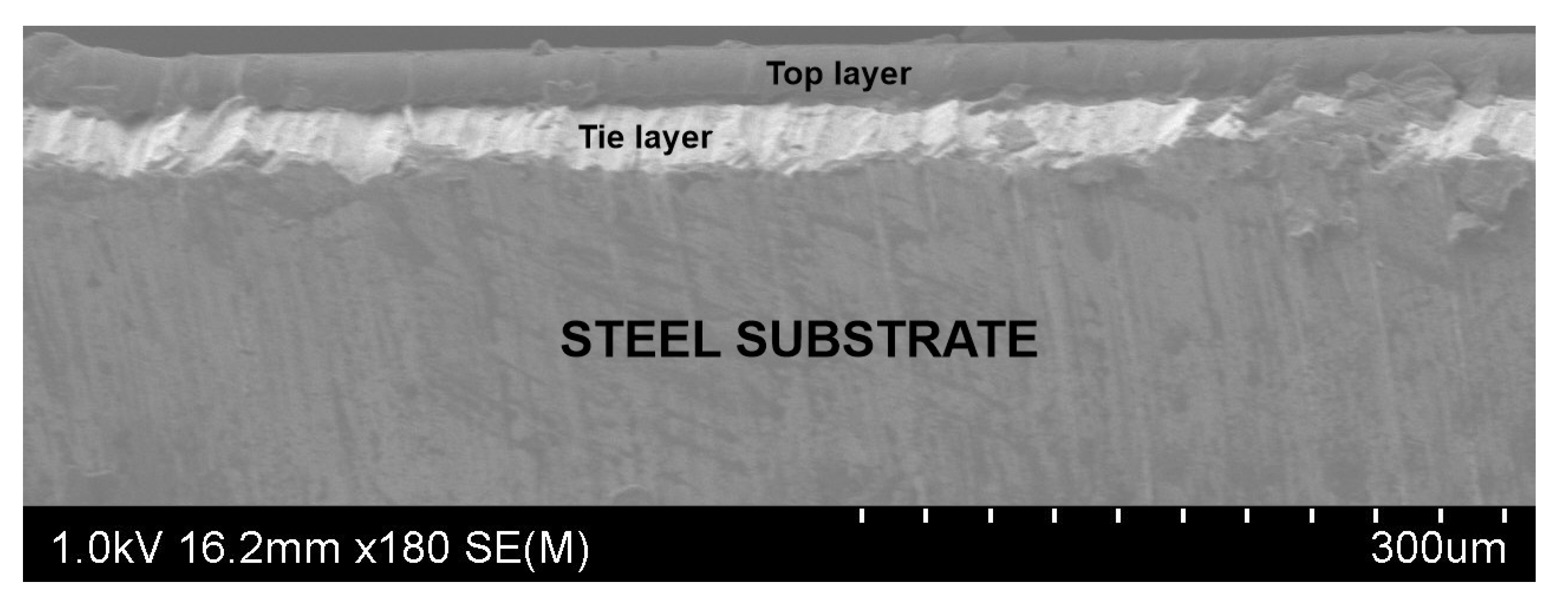 Polymers 13 00222 g004