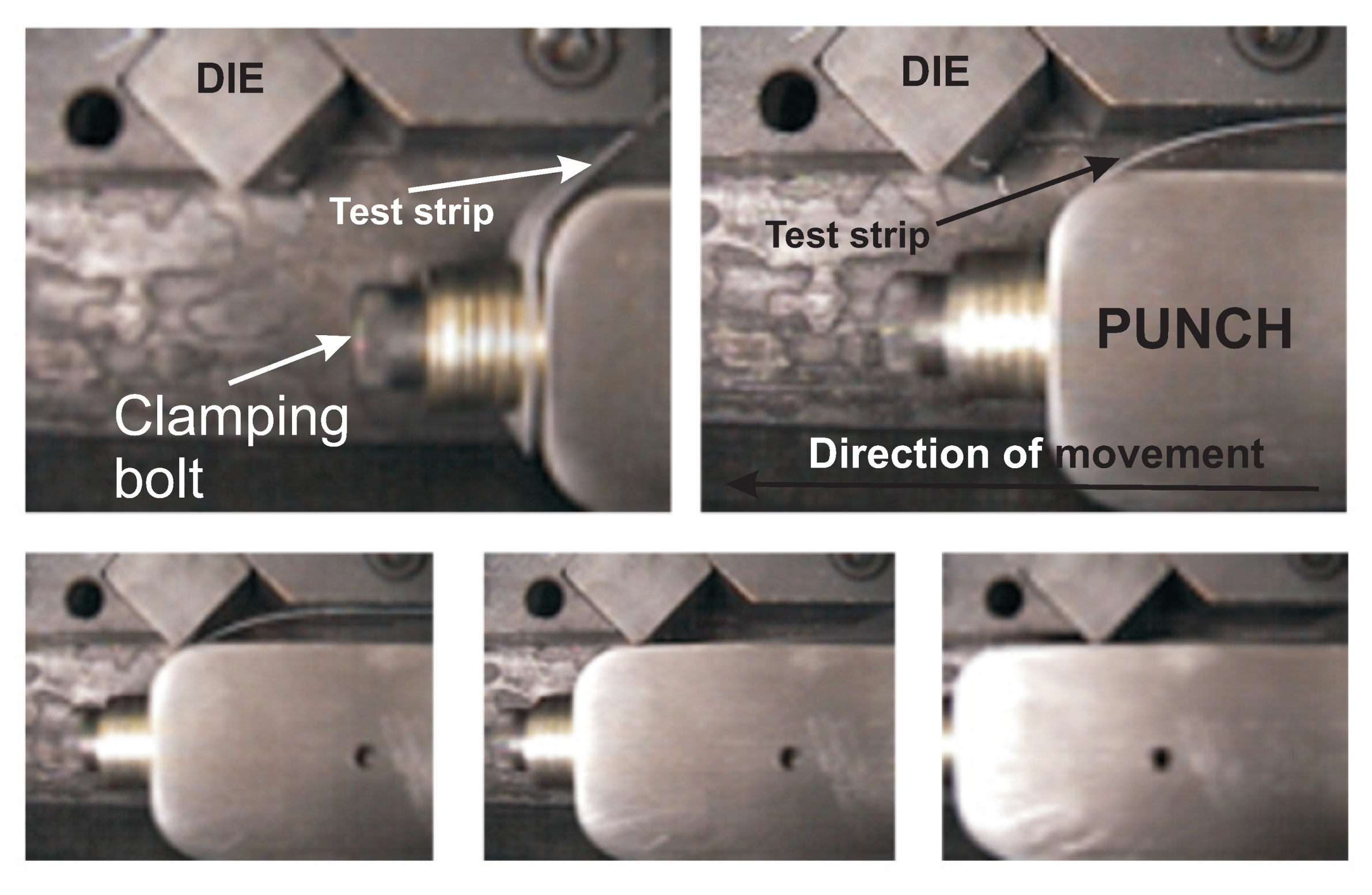 Polymers 13 00222 g005