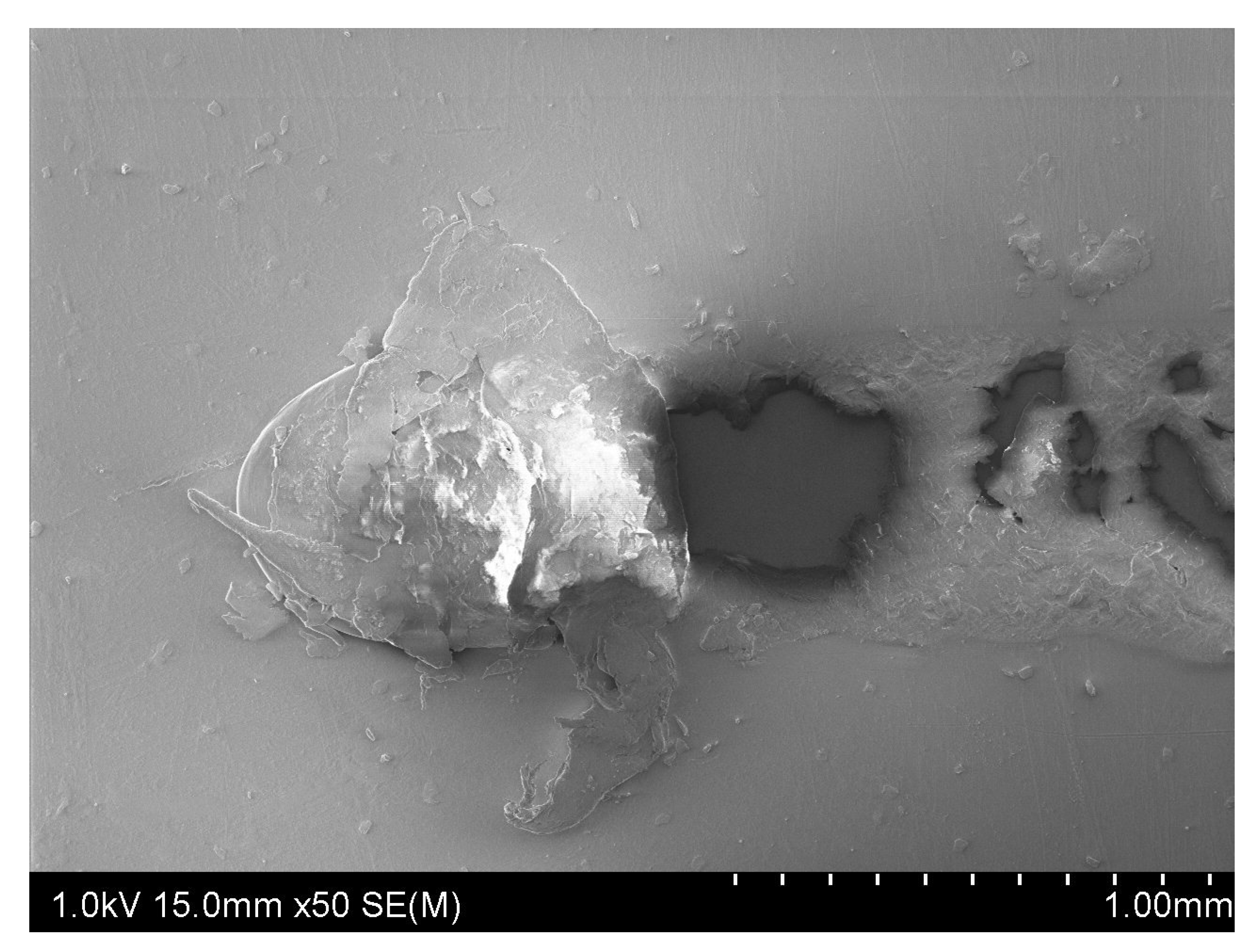 Polymers 13 00222 g014