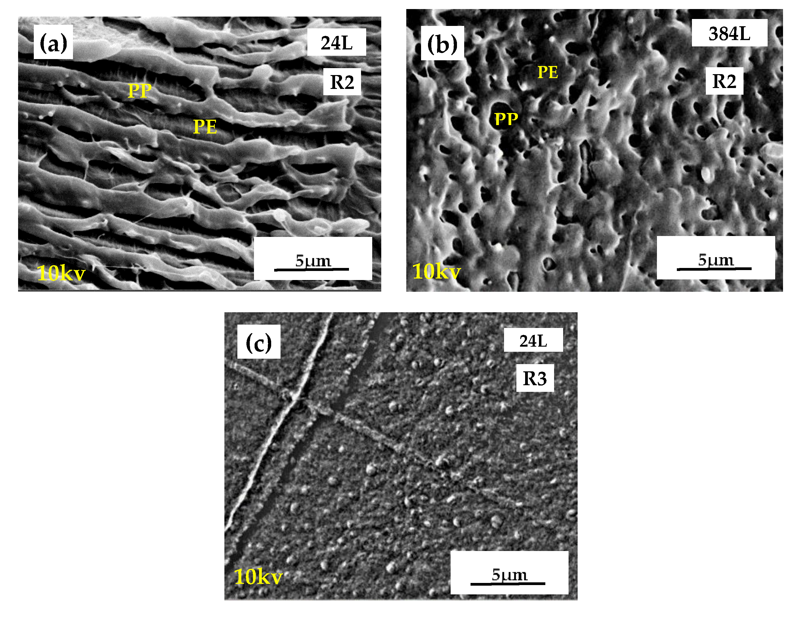 Polymers 13 00413 g005