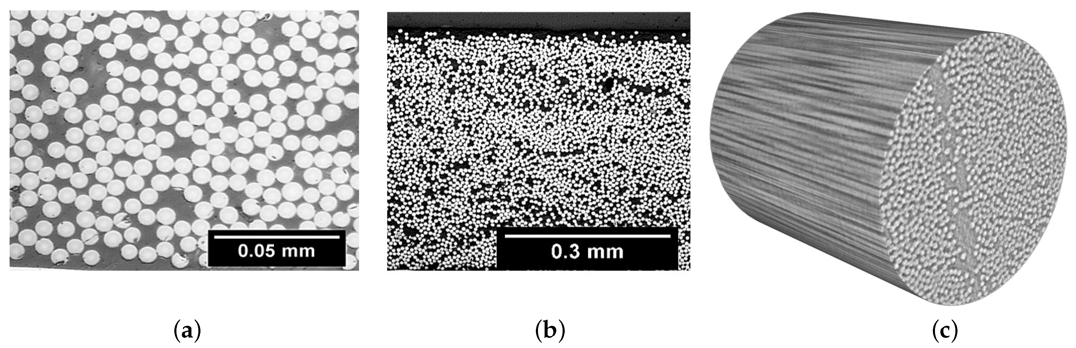 Polymers 13 00473 g006