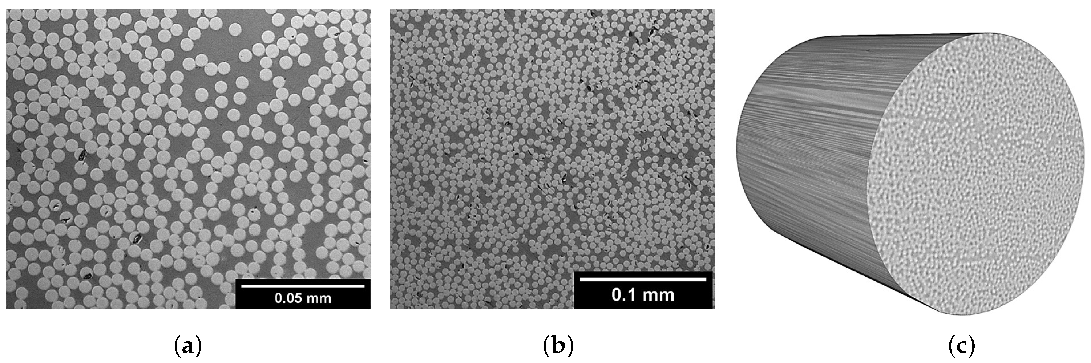 Polymers 13 00473 g007