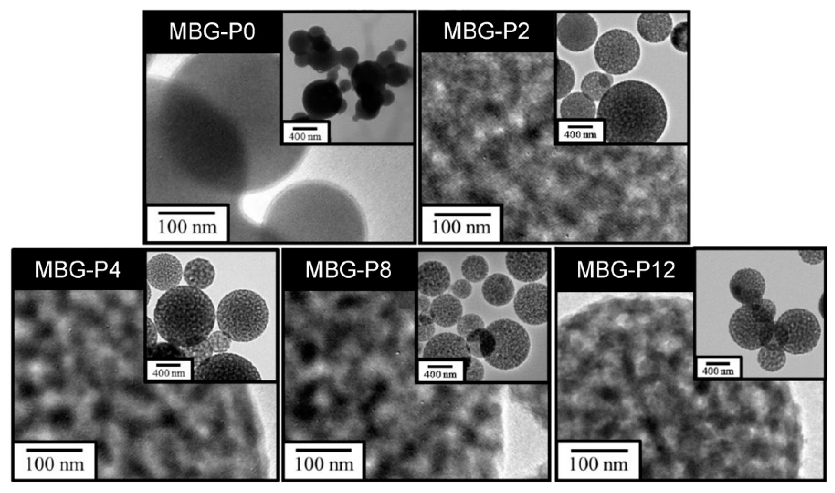 Polymers 13 00618 g003