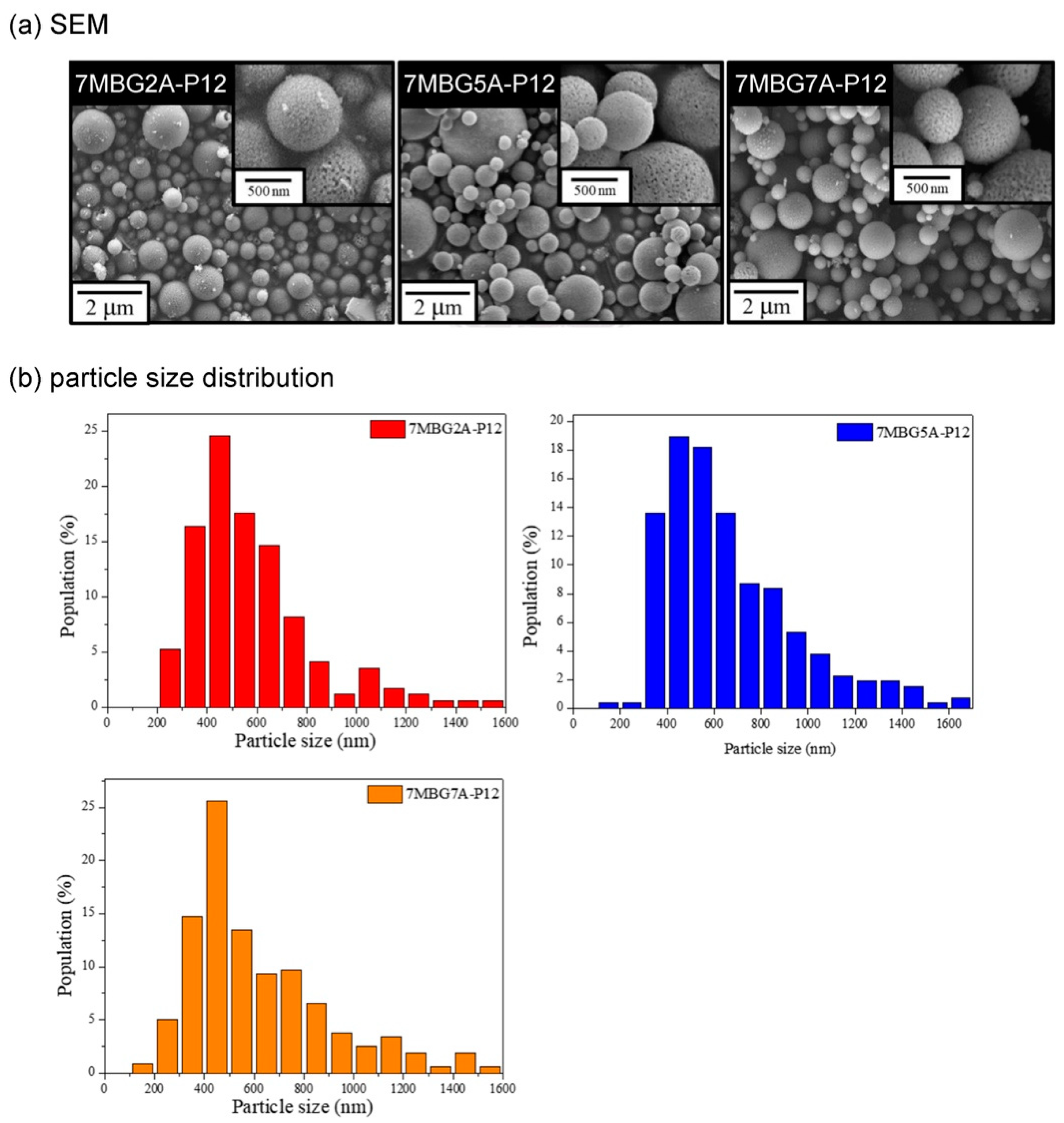 Polymers 13 00618 g005