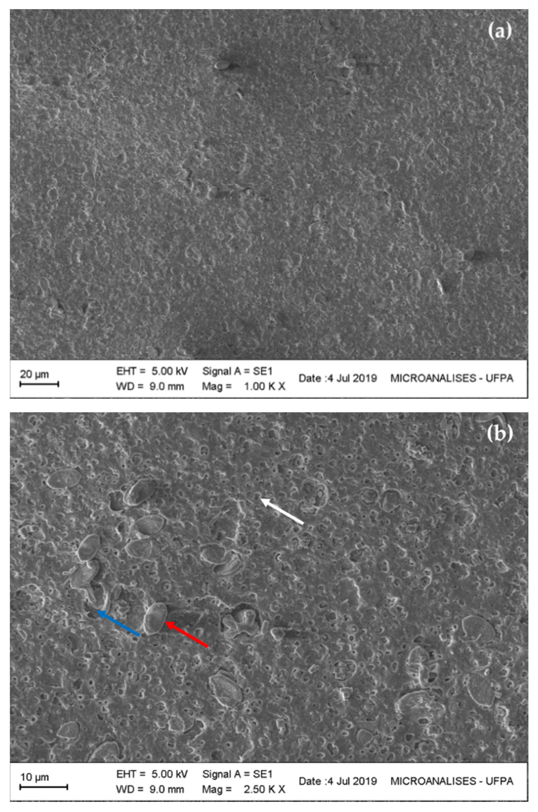 Polymers 13 00687 g003a