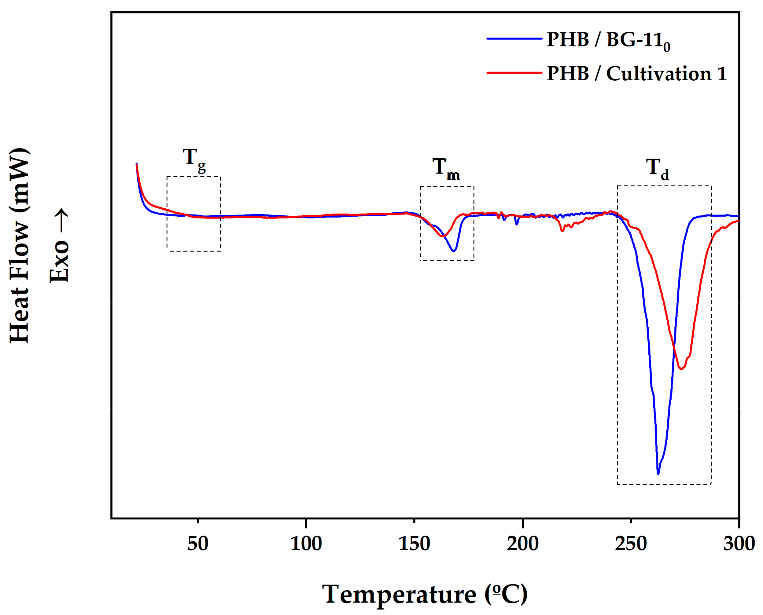 Polymers 13 00687 g004