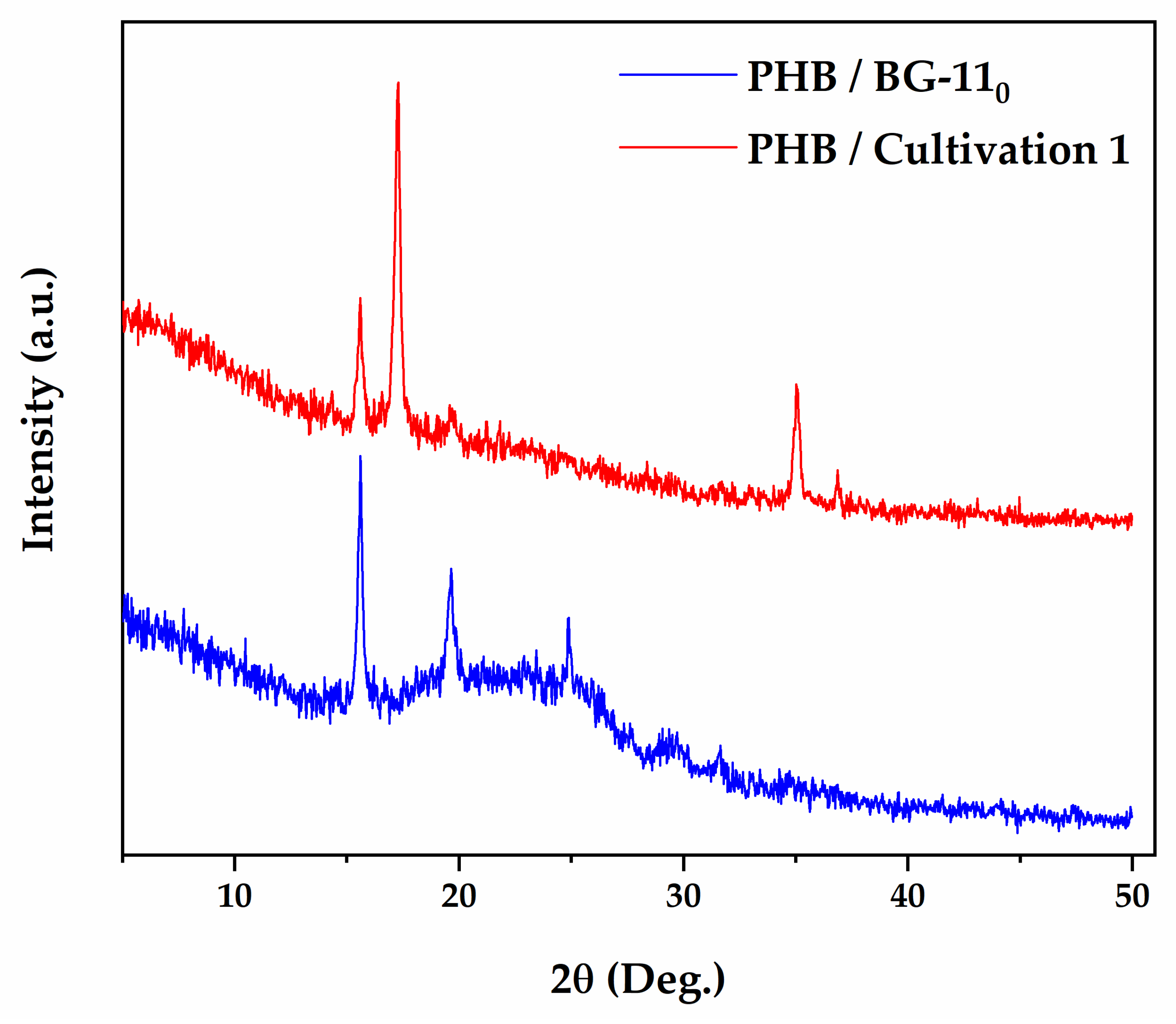 Polymers 13 00687 g006