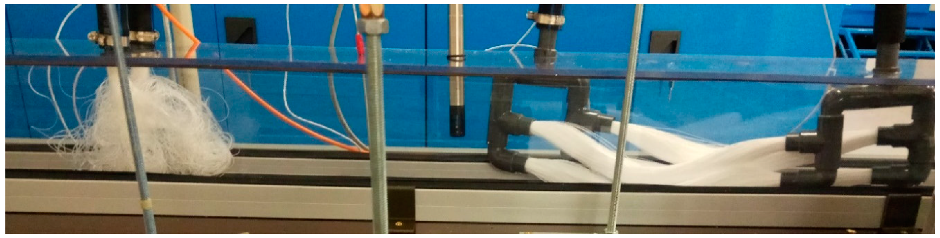 Polymers 13 01031 g005