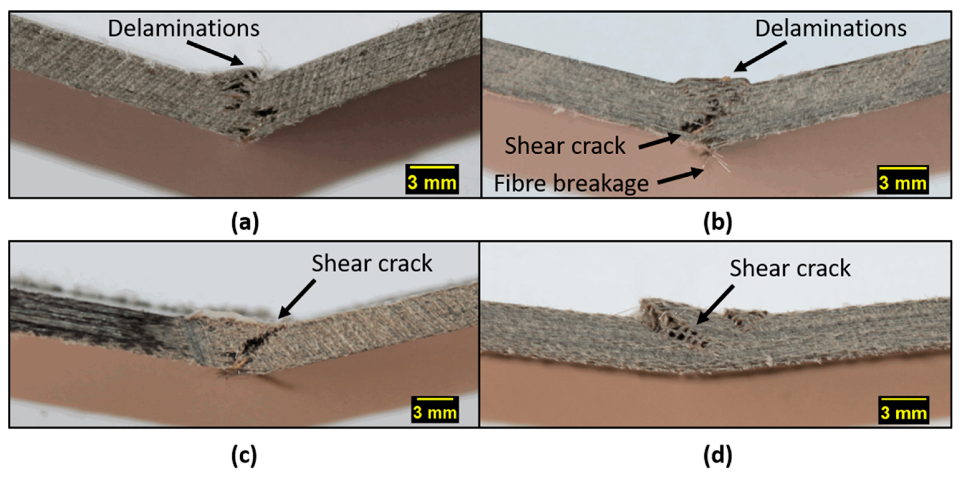 Polymers 13 01055 g005