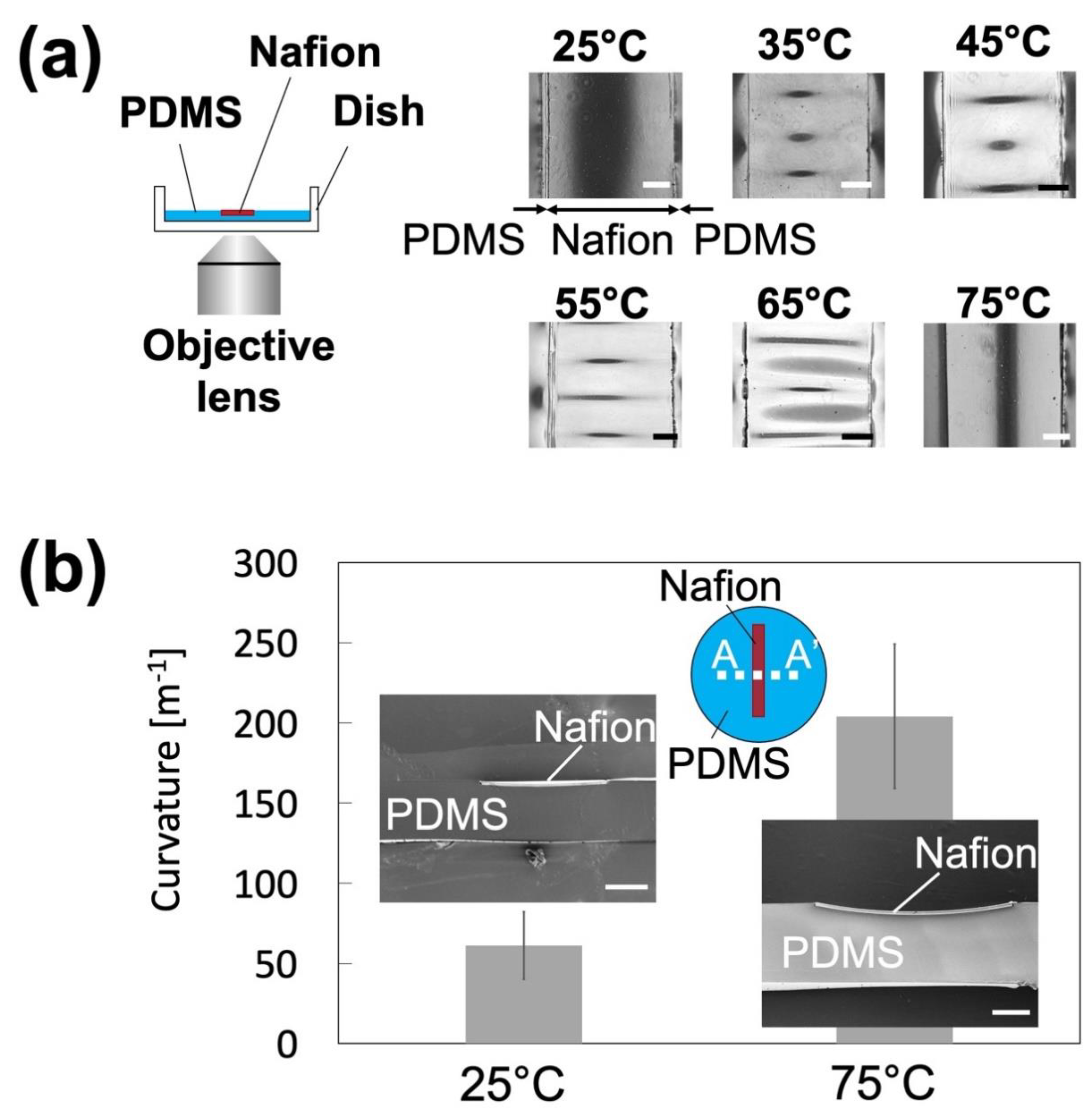 Polymers 13 01069 g004