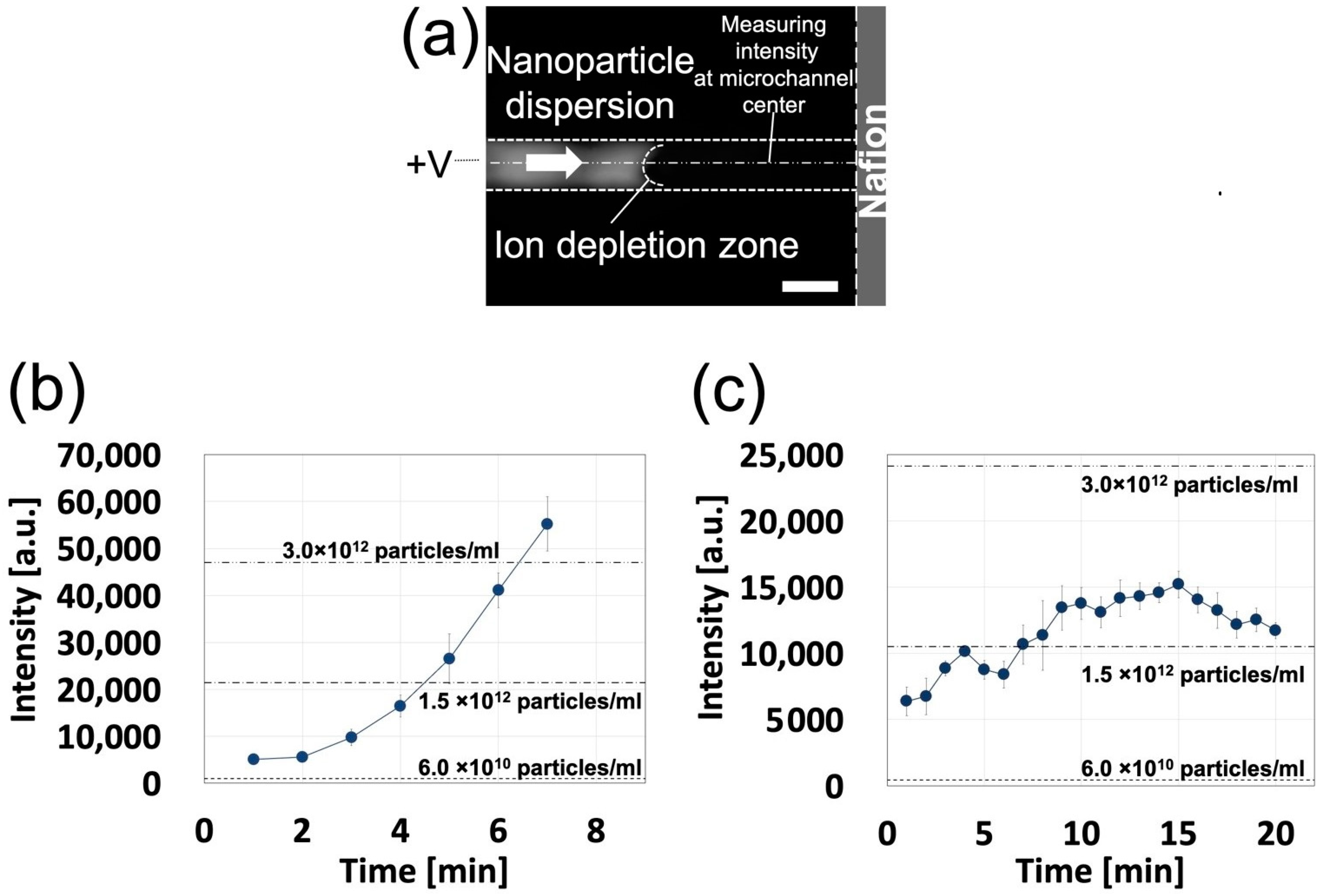 Polymers 13 01069 g007