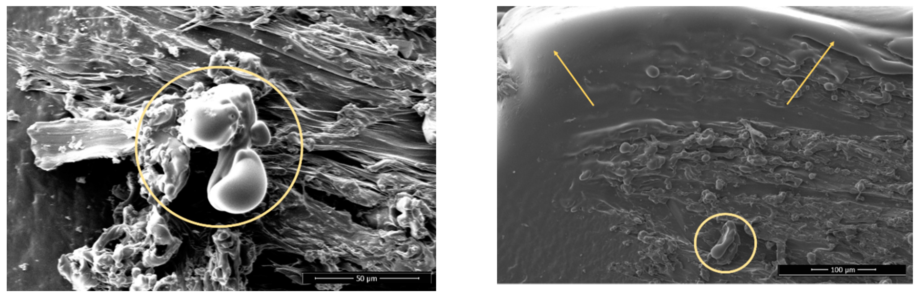 Polymers 13 01211 g004