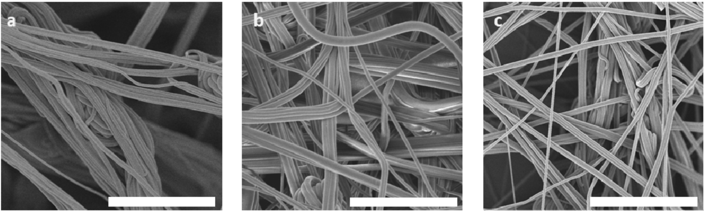 Polymers 13 01313 g004