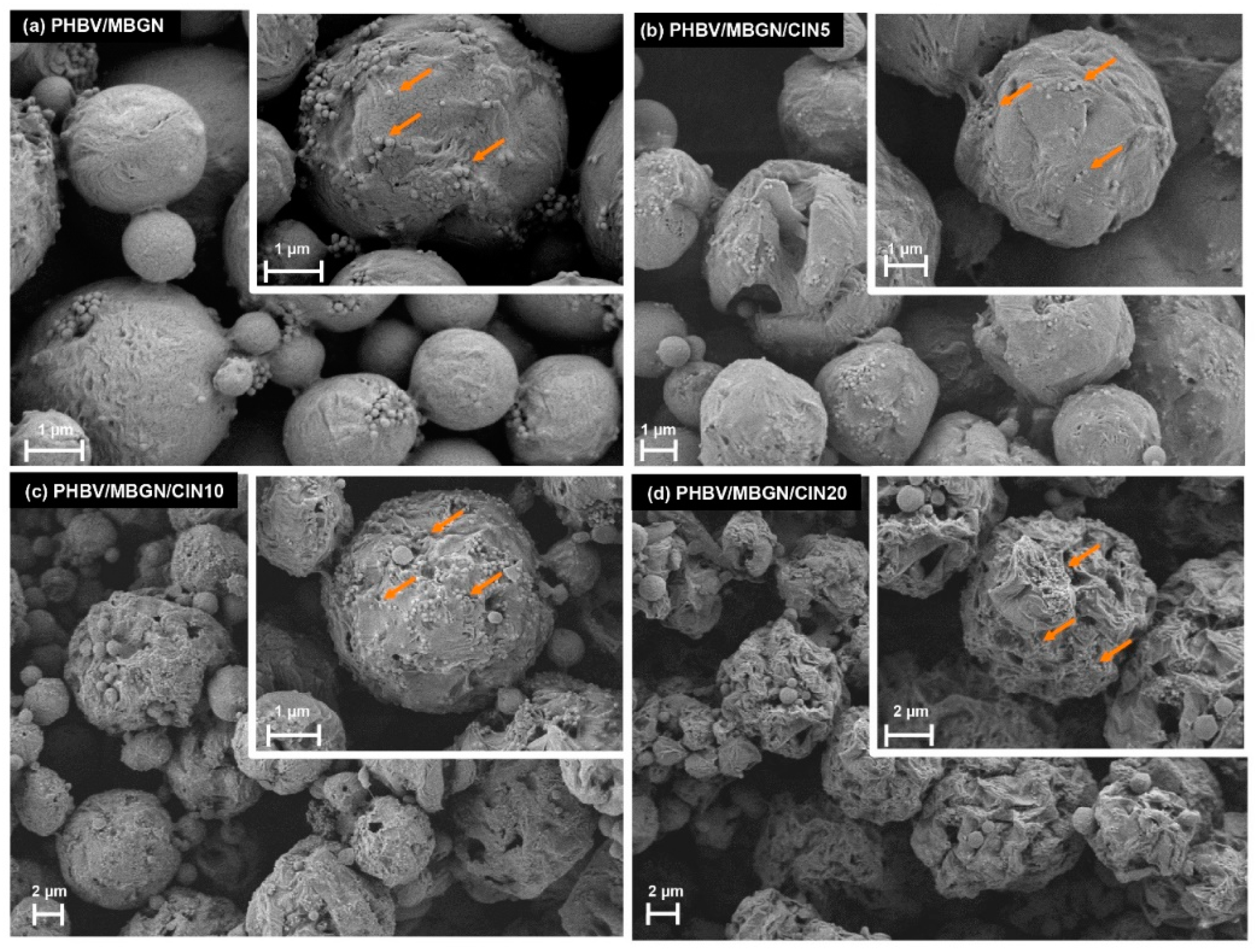 Polymers 13 01794 g001