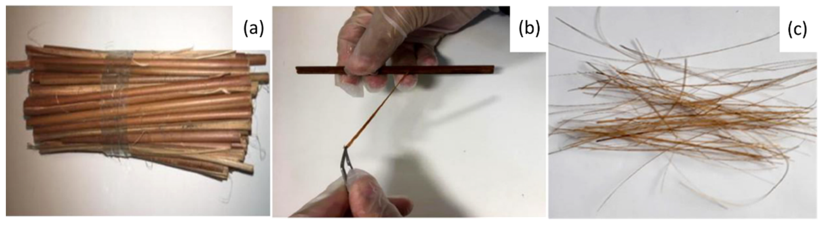 Polymers 13 02264 g001