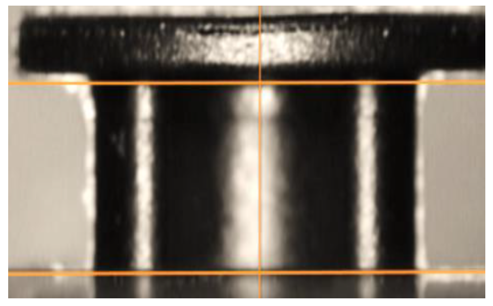 Polymers 13 02536 g004
